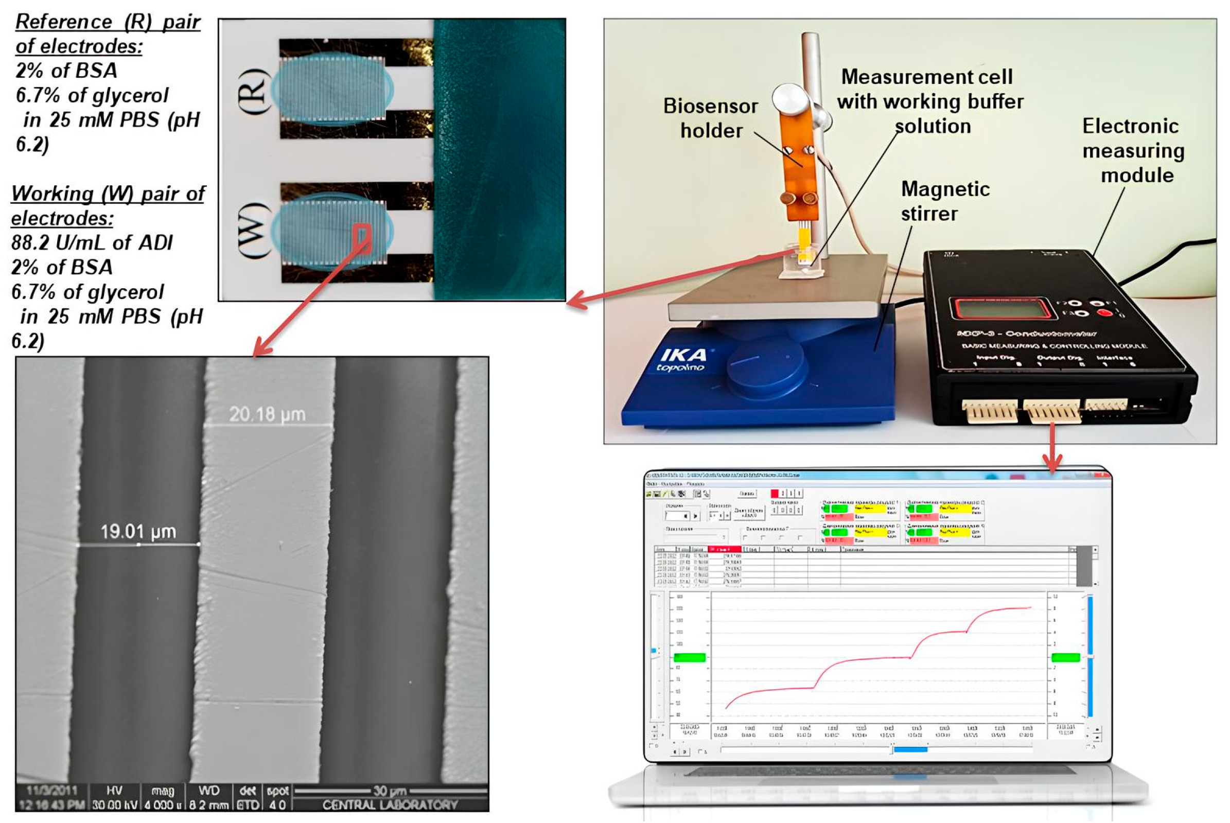 Sensors 24 04672 g001