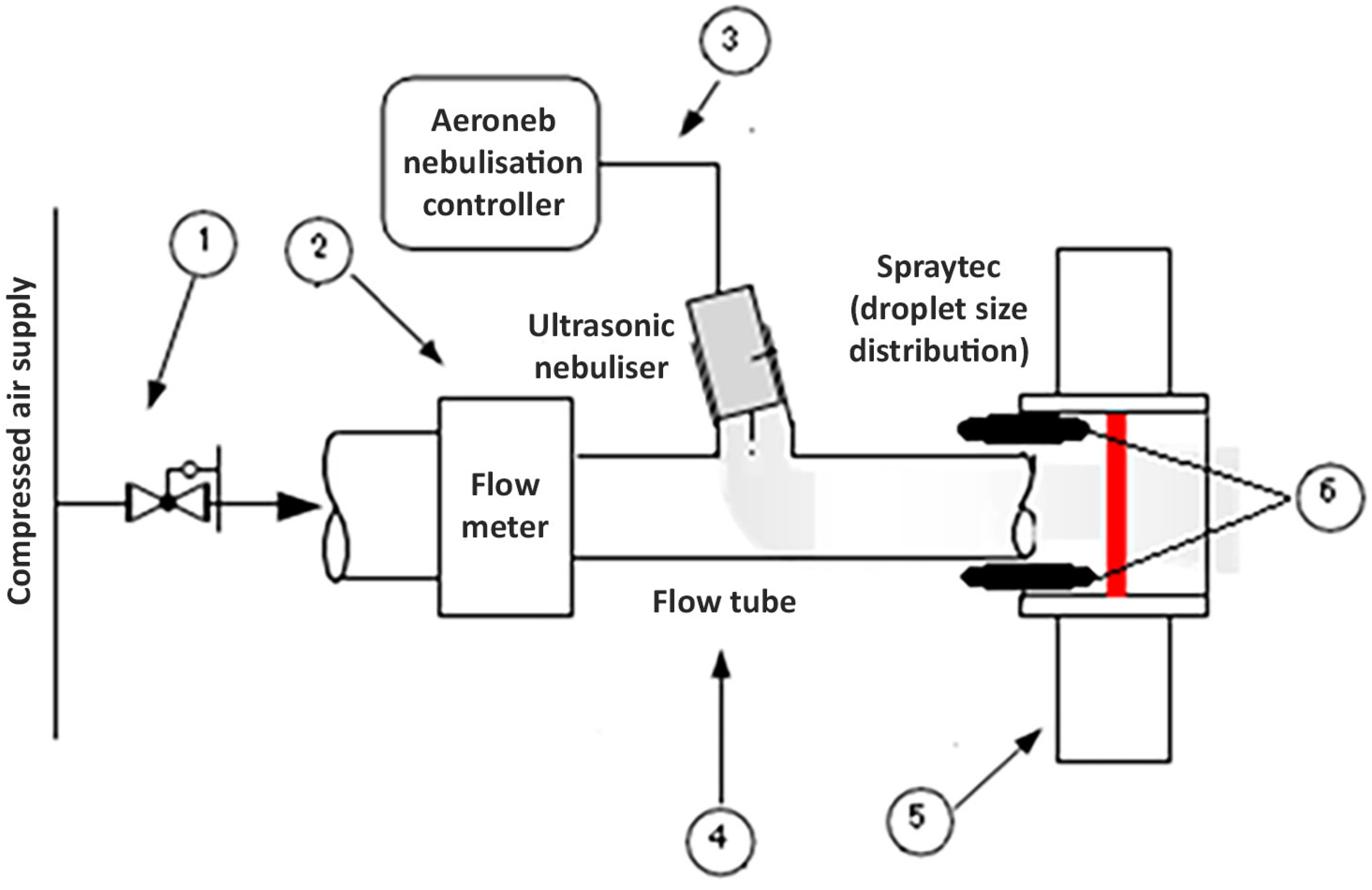 Sensors 24 04691 g010