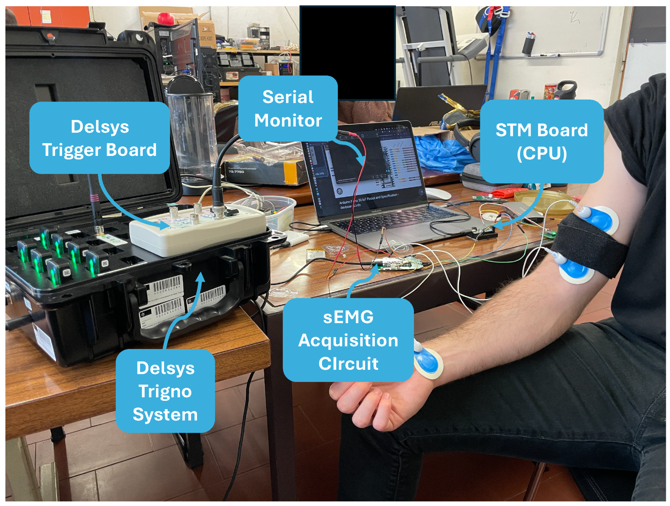 Sensors 24 04717 g012