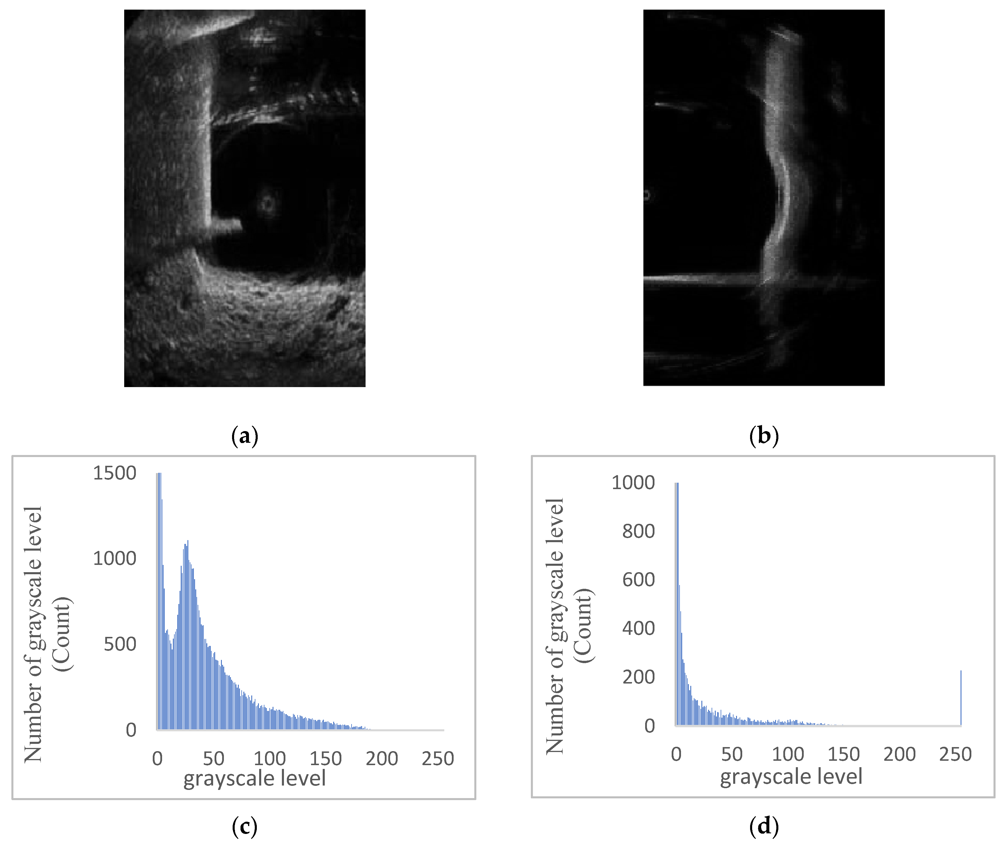 Sensors 24 04732 g008