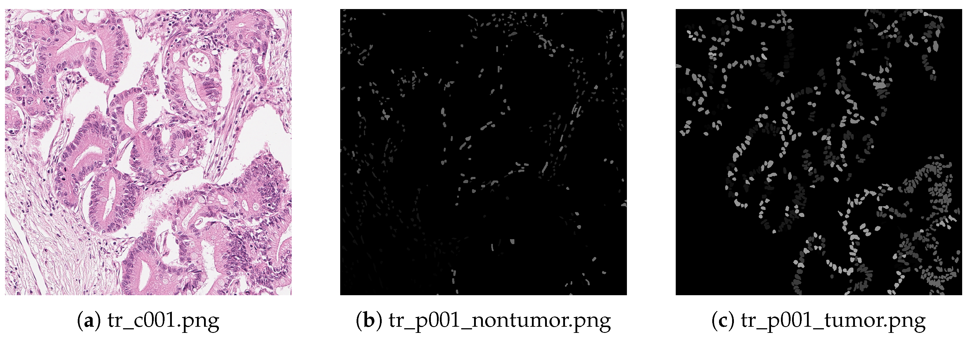 Sensors 24 04749 g005