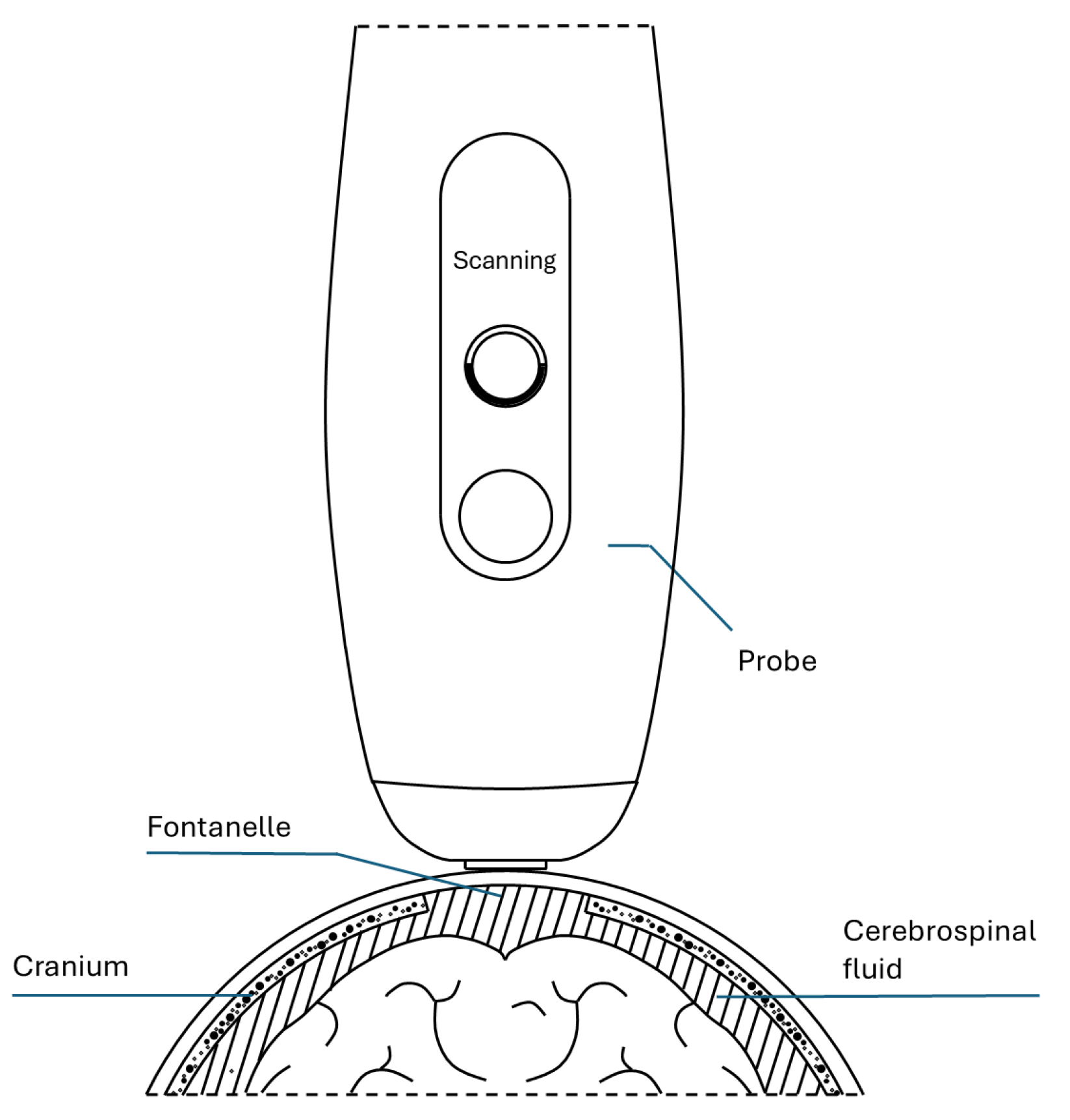 Sensors 24 04768 g001
