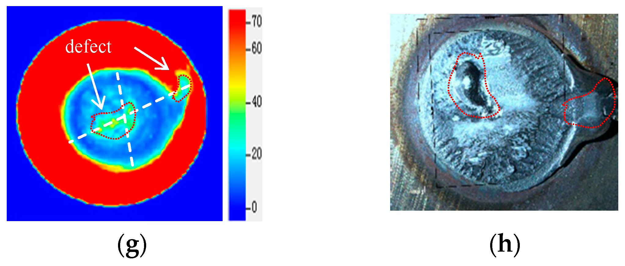Sensors 24 04771 g012b