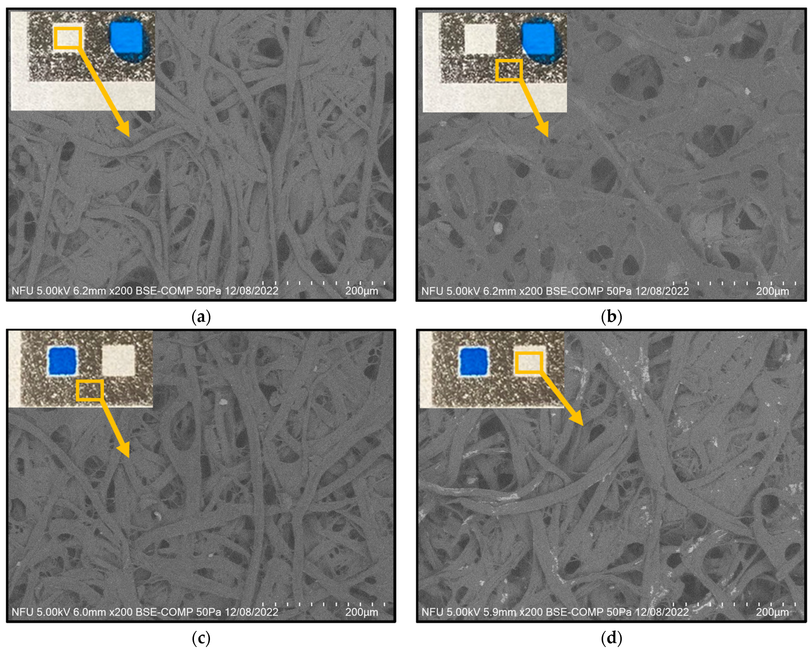Sensors 24 04792 g005