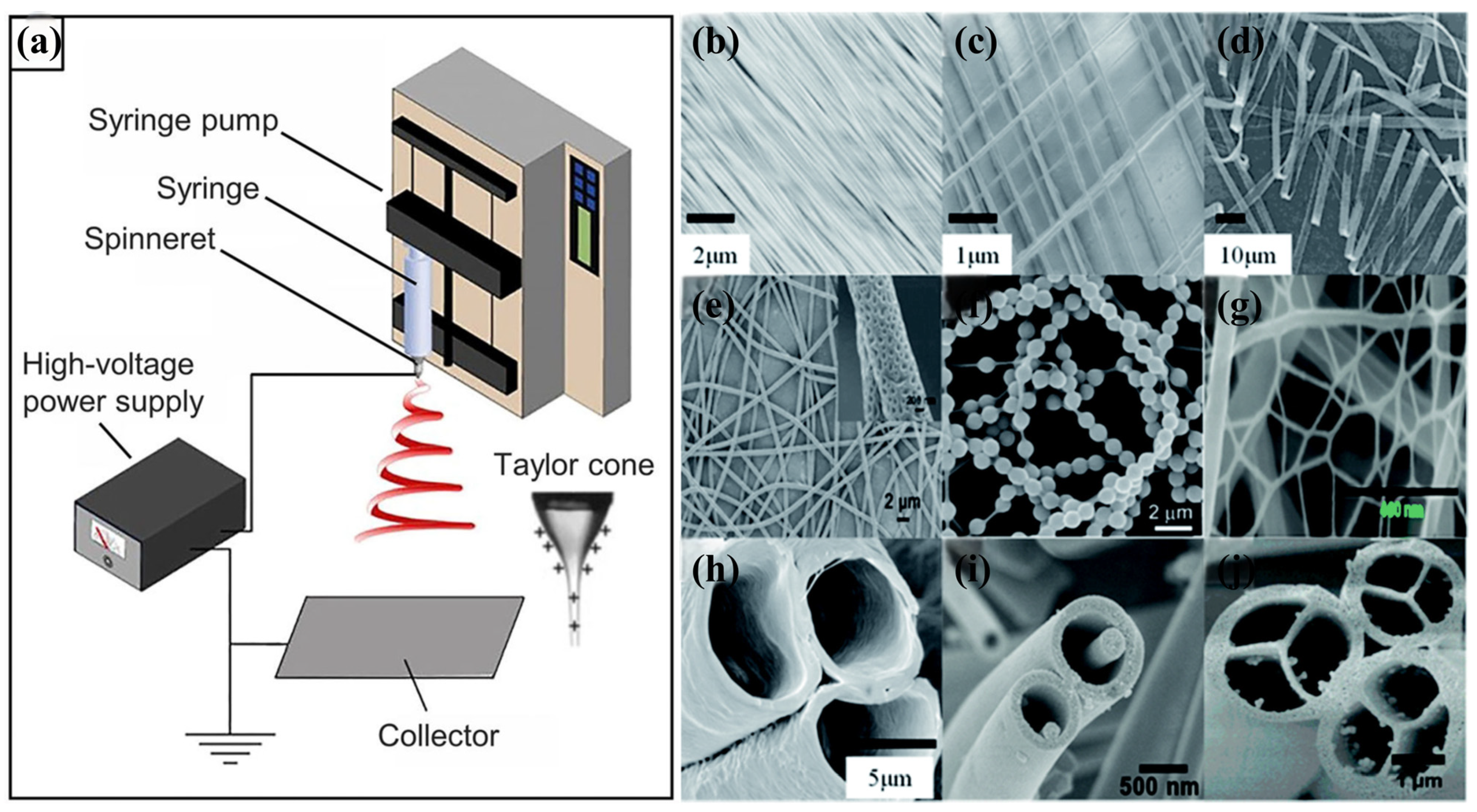 Sensors 24 04793 g002