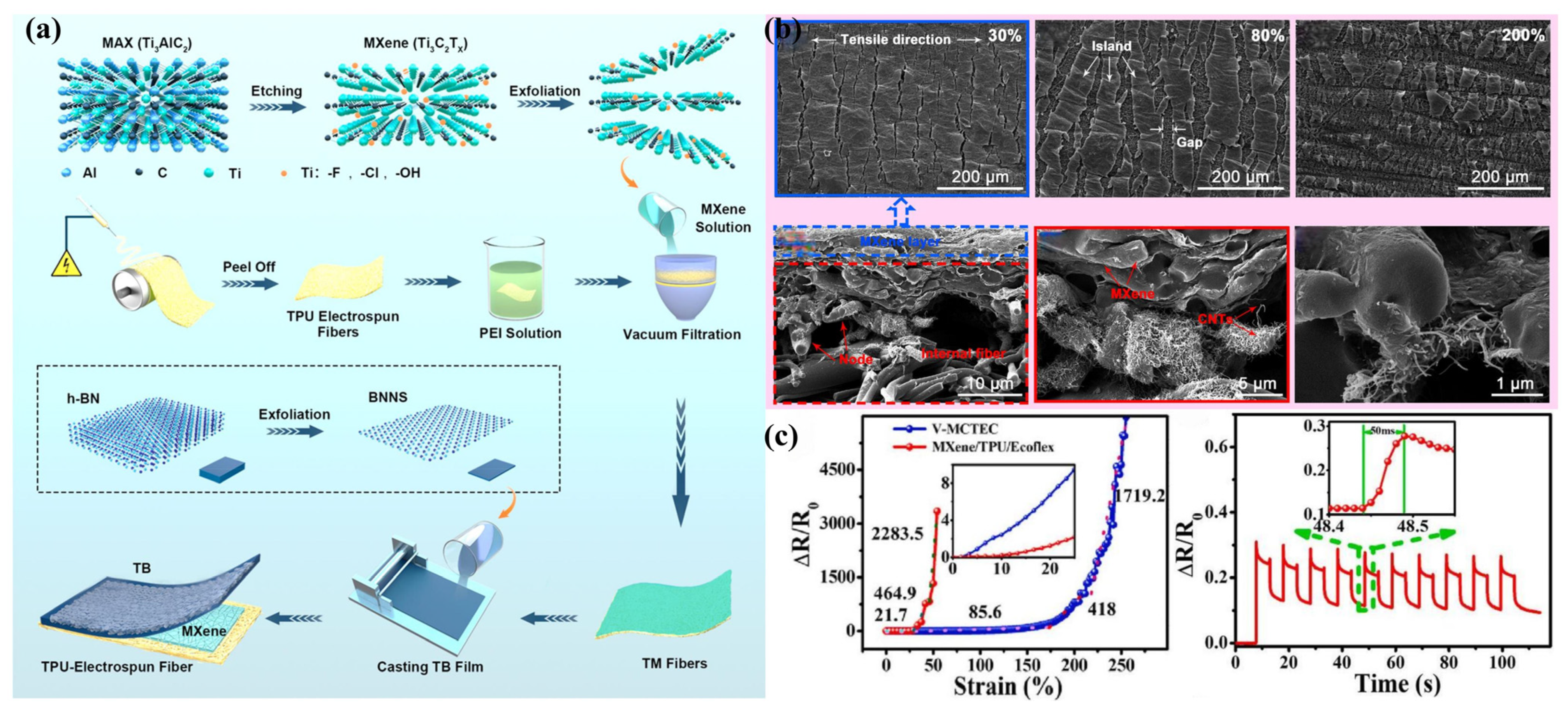 Sensors 24 04793 g007