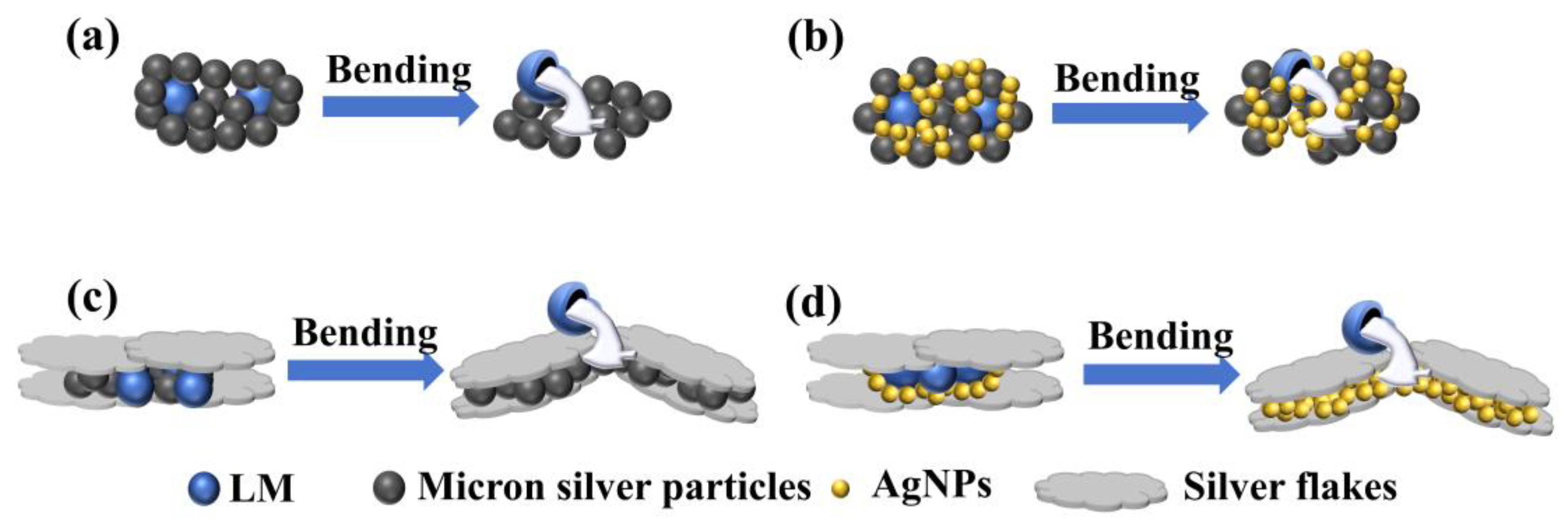 Sensors 24 04795 g007