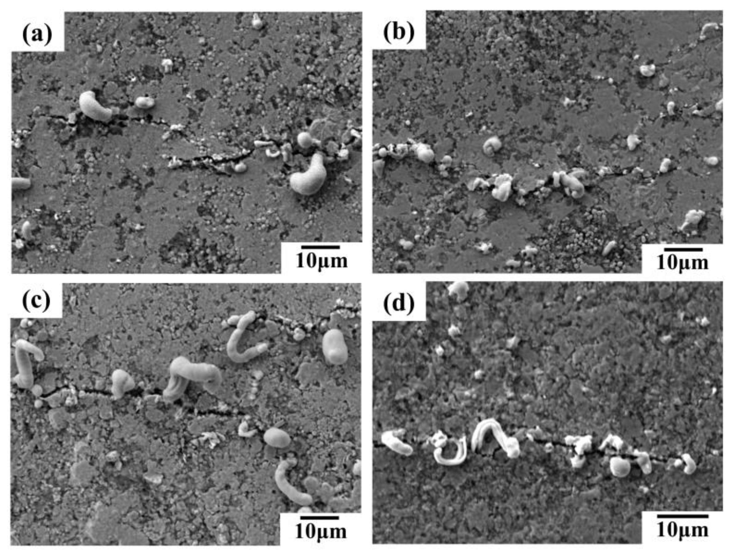 Sensors 24 04795 g008