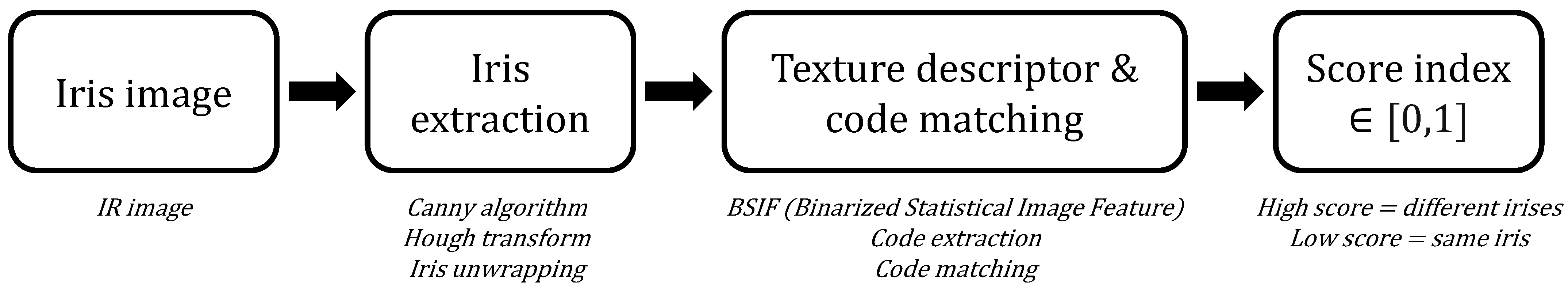 Sensors 24 04805 g001