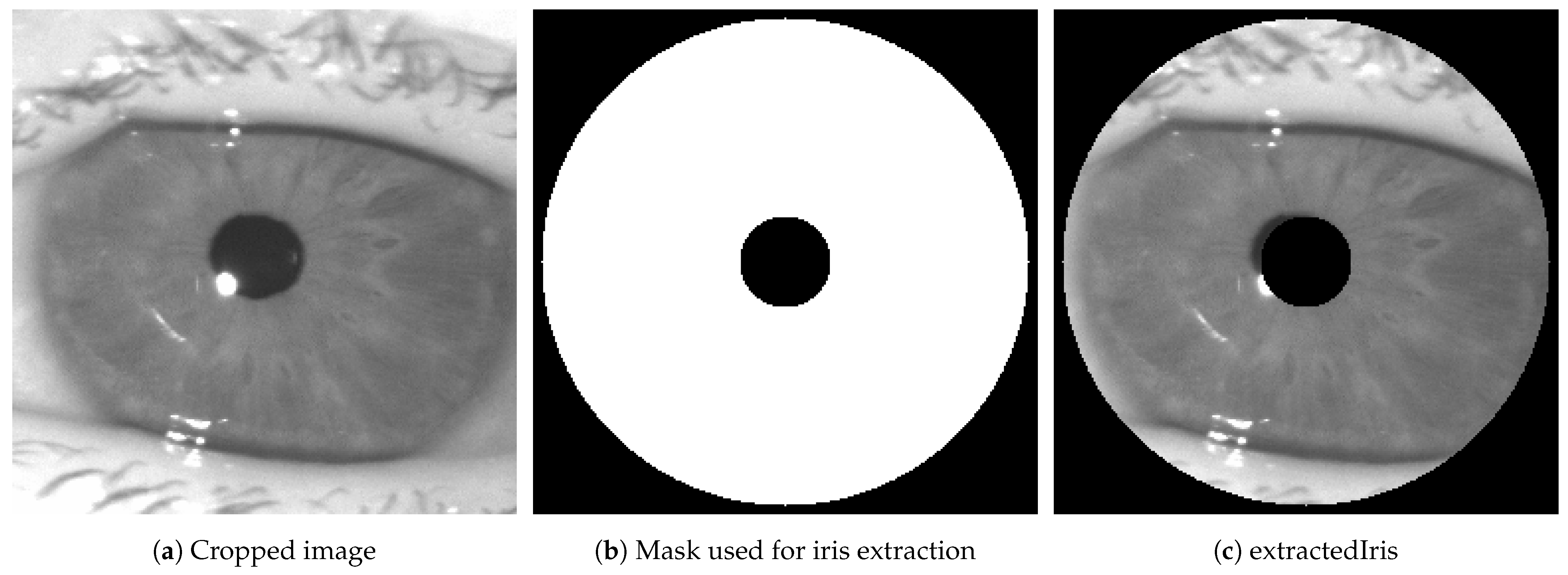 Sensors 24 04805 g004