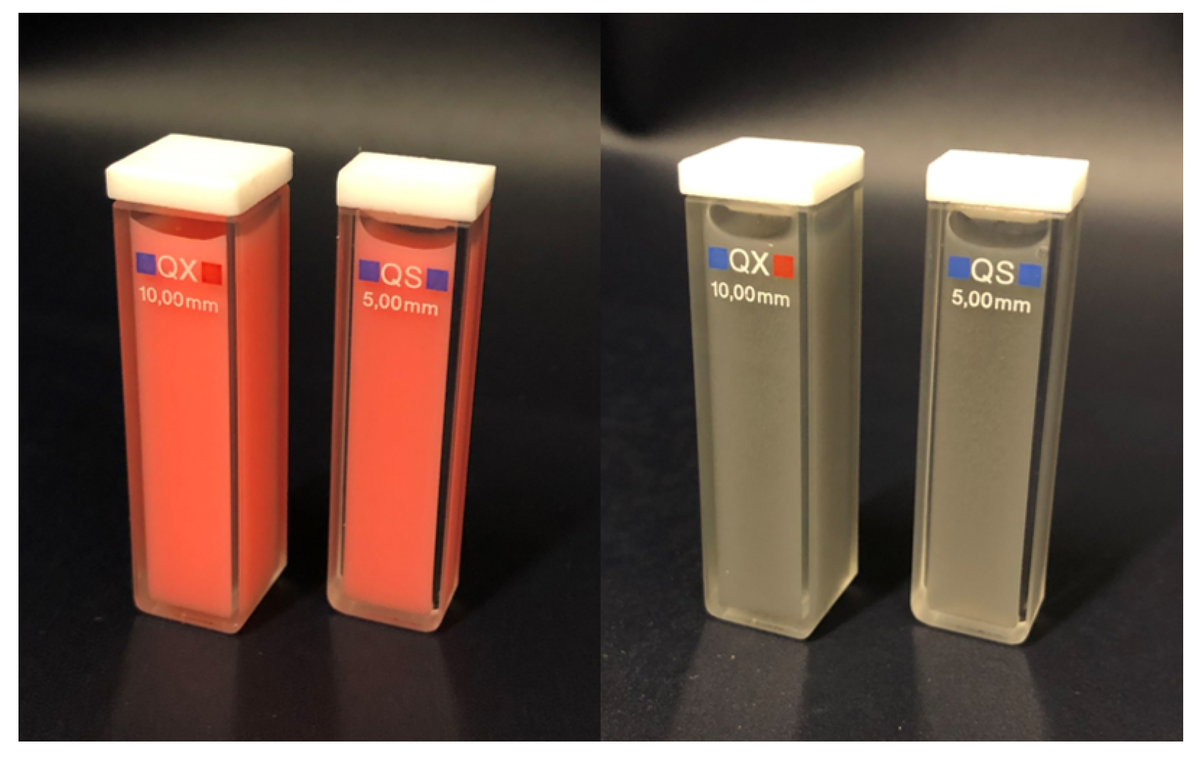 Sensors 24 04807 g001