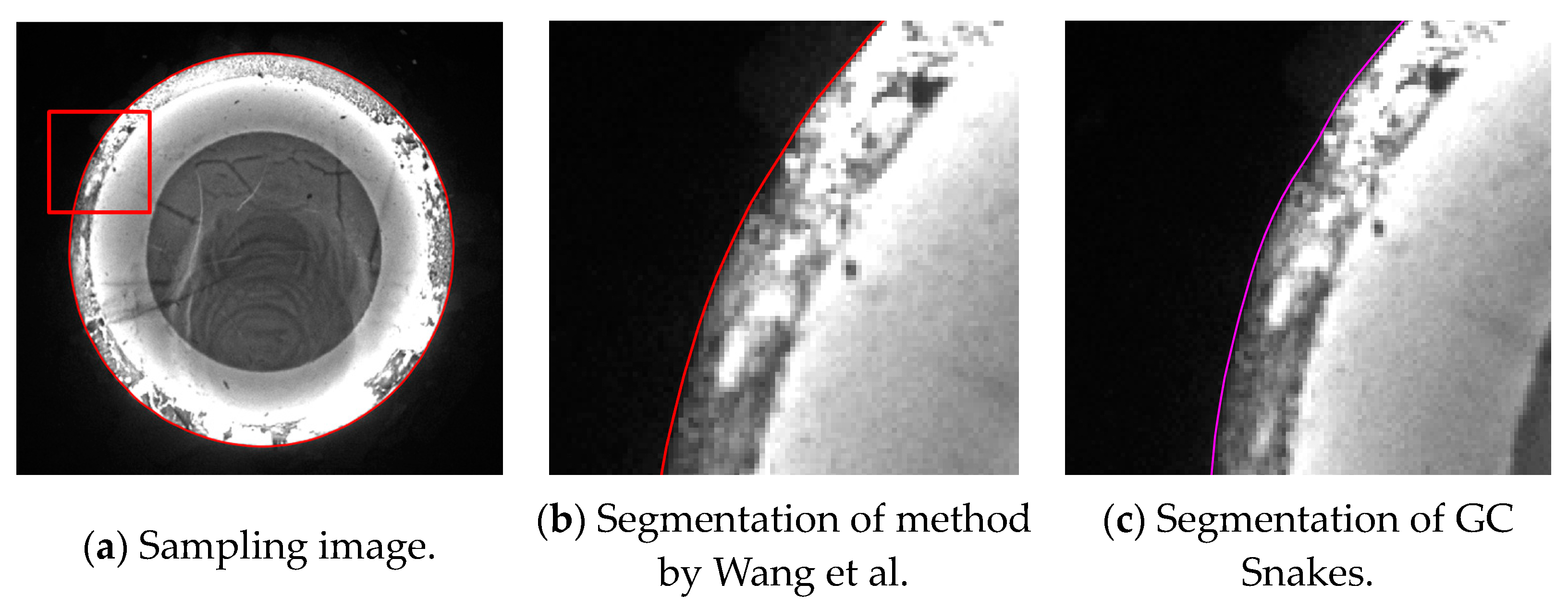 Sensors 24 04821 g019