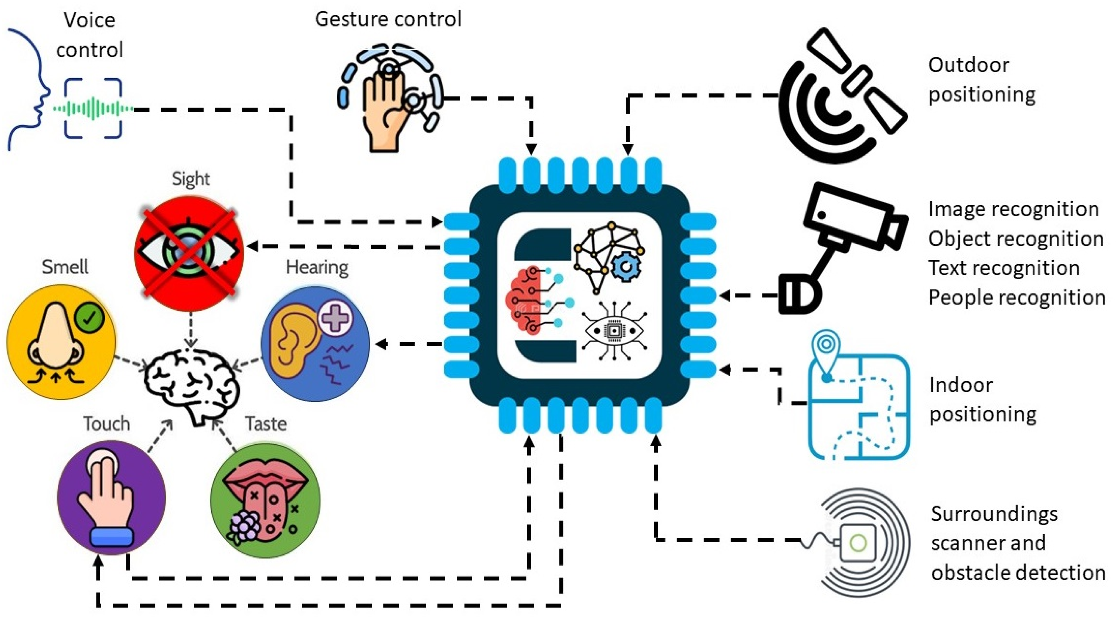 Sensors 24 04834 g001