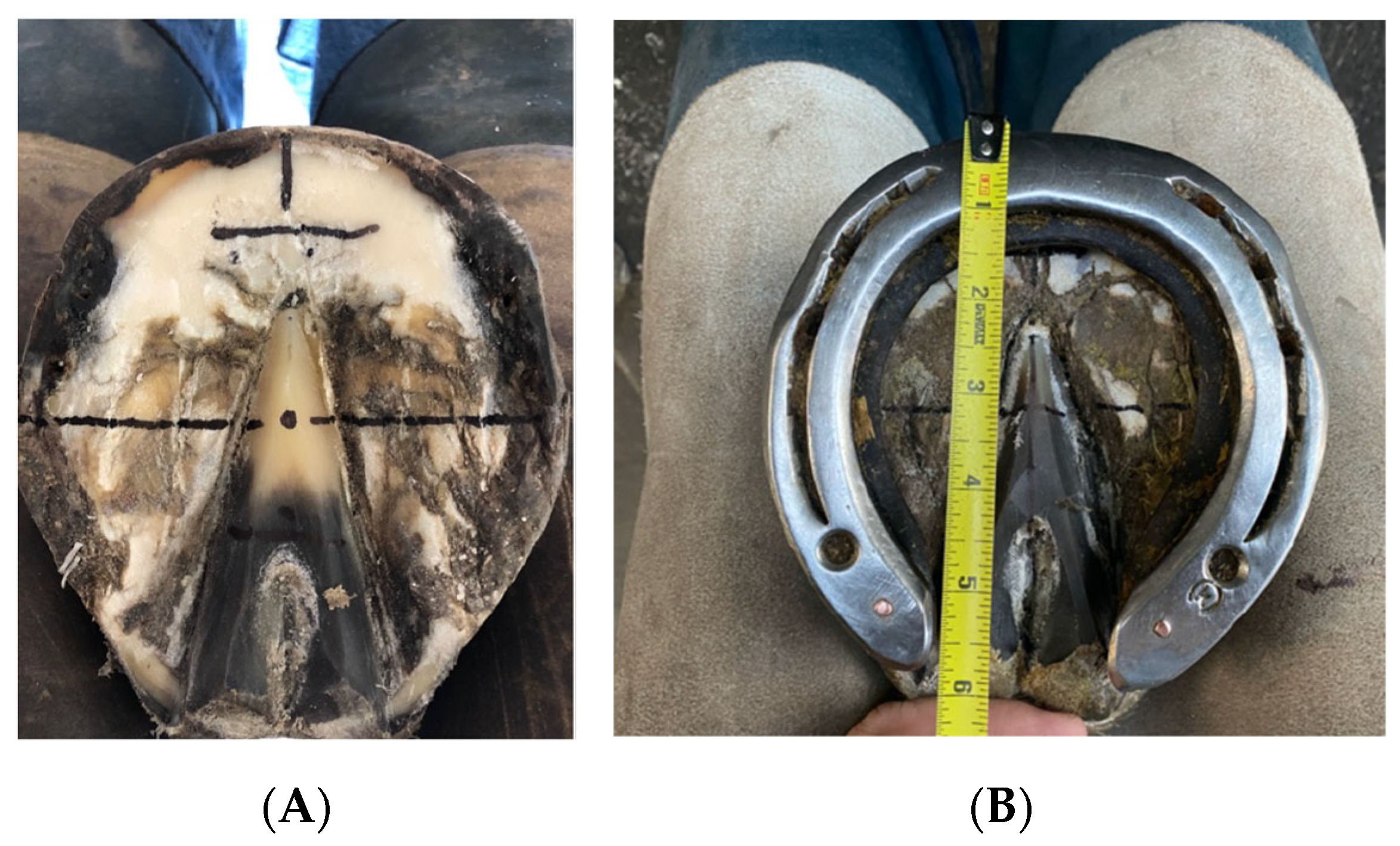 Sensors 24 04848 g001