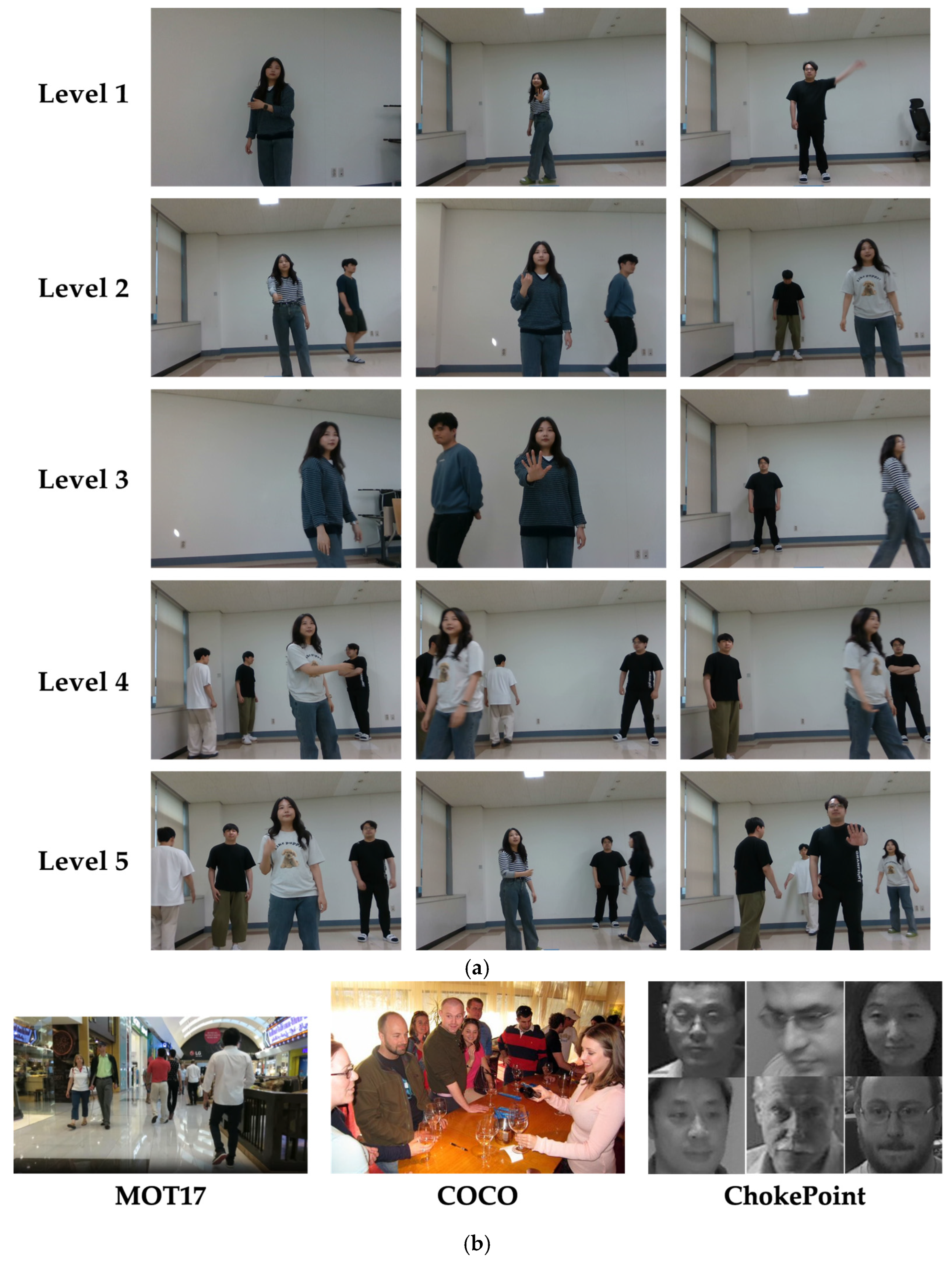 Sensors 24 04850 g007