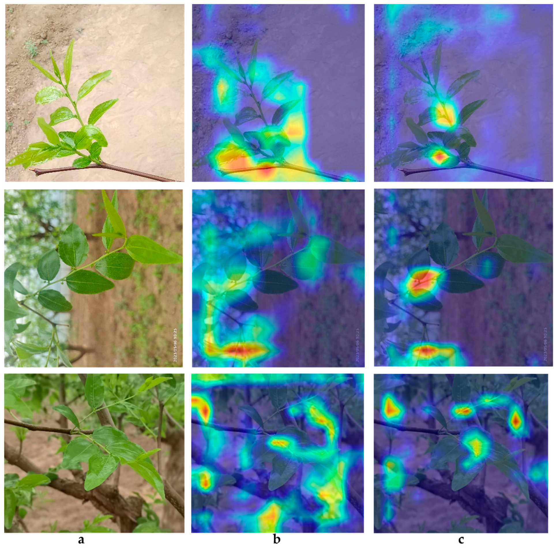 Sensors 24 04856 g006