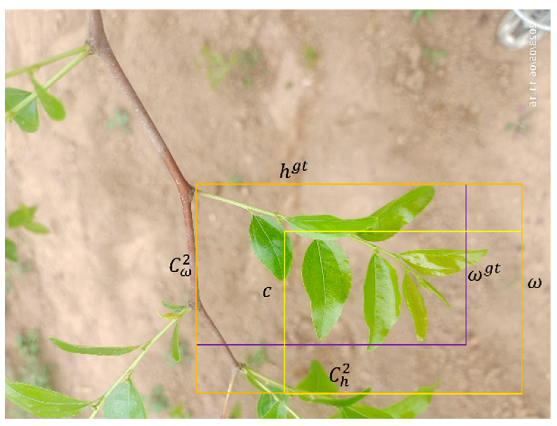 Sensors 24 04856 g007