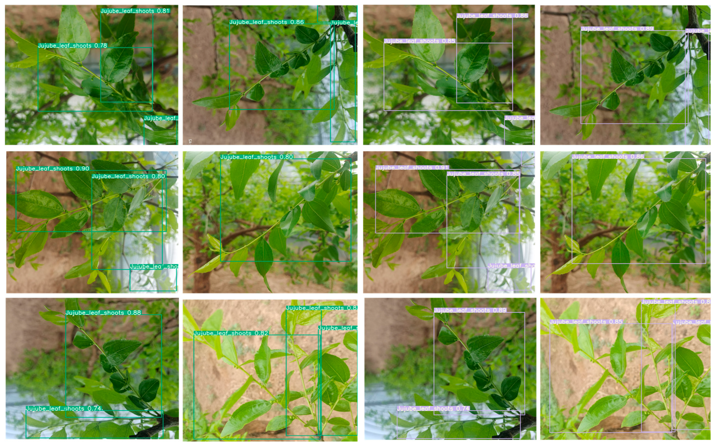 Sensors 24 04856 g010