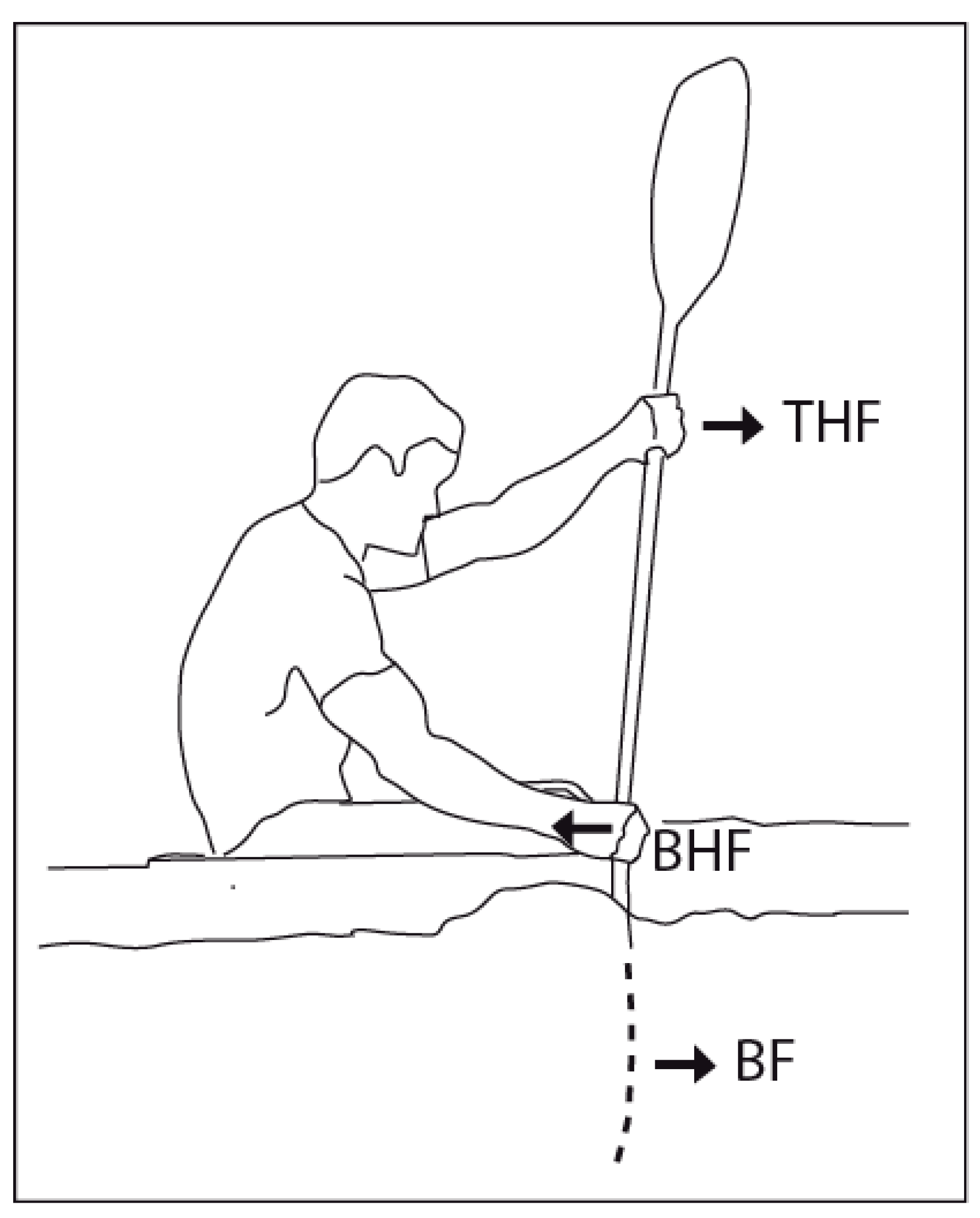 Sensors 24 04870 g001