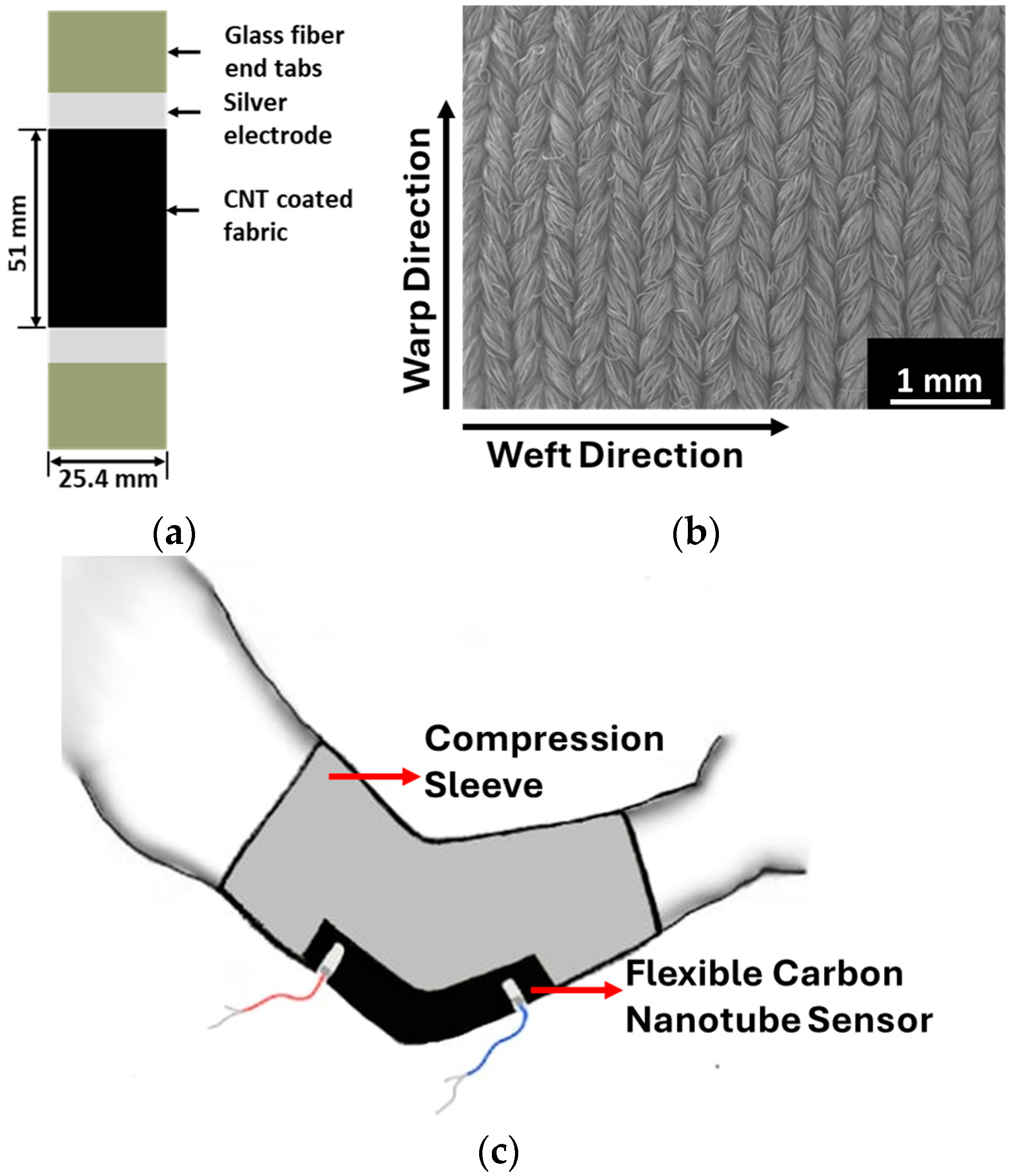 Sensors 24 04894 g002