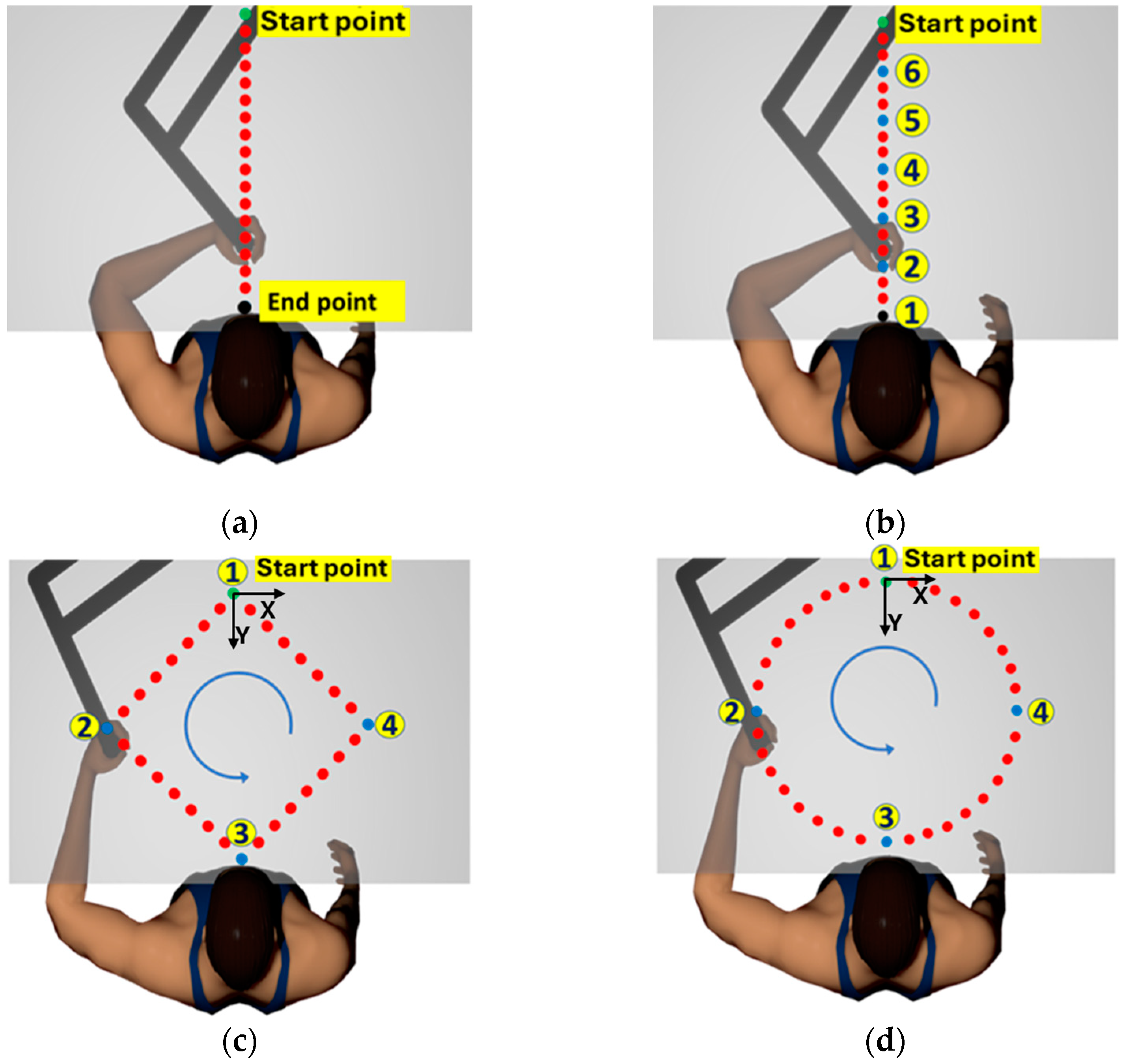 Sensors 24 04894 g003