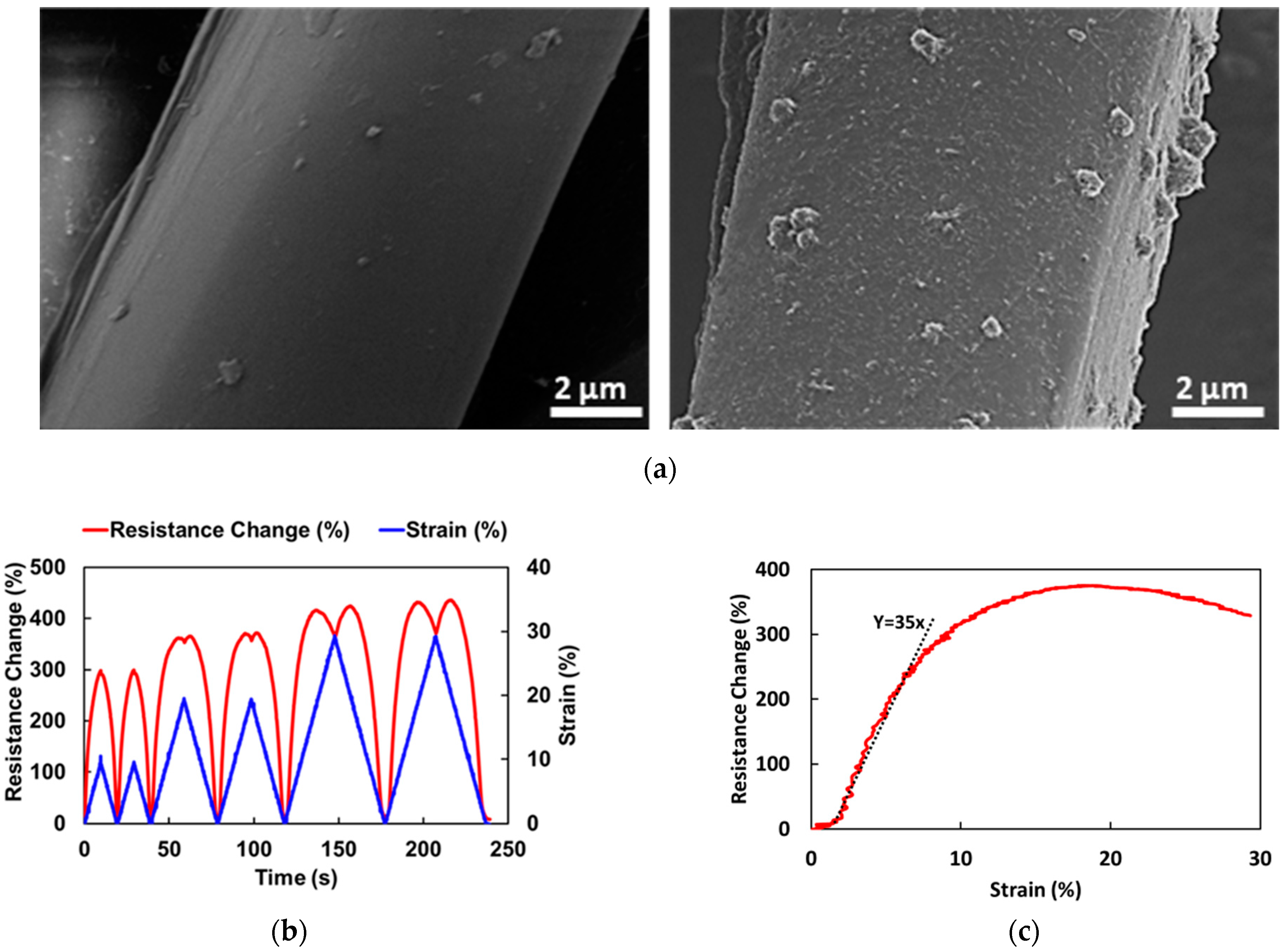 Sensors 24 04894 g005