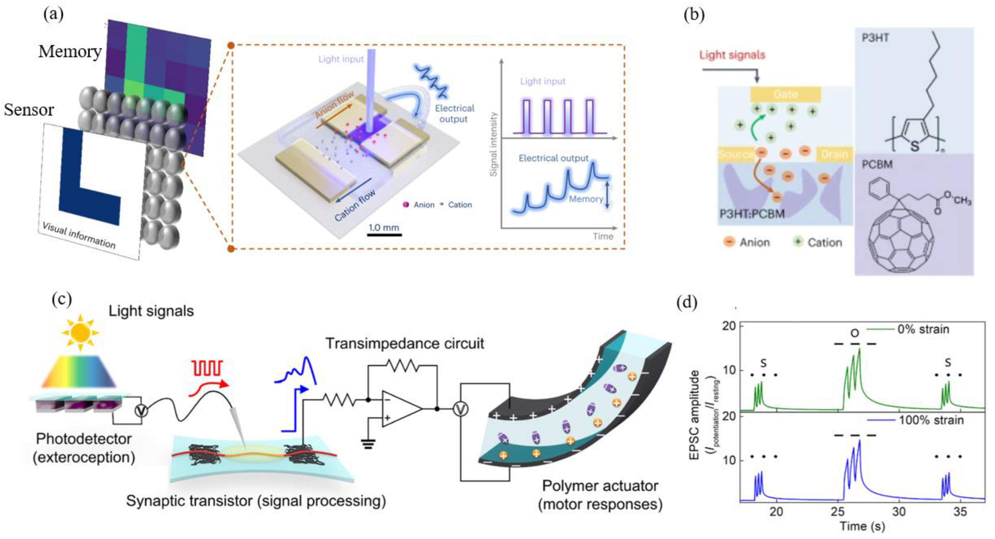 Sensors 24 04915 g005
