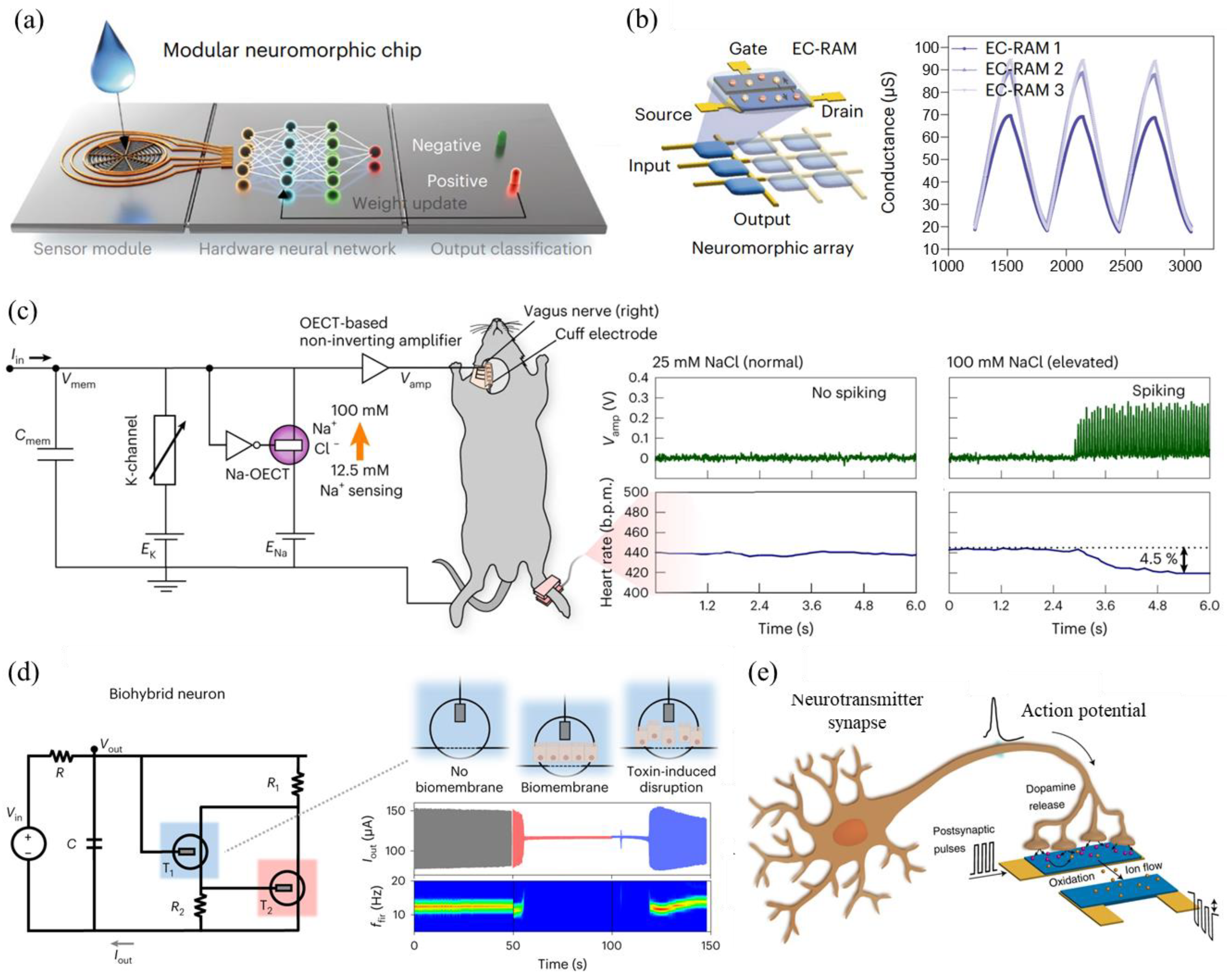 Sensors 24 04915 g006