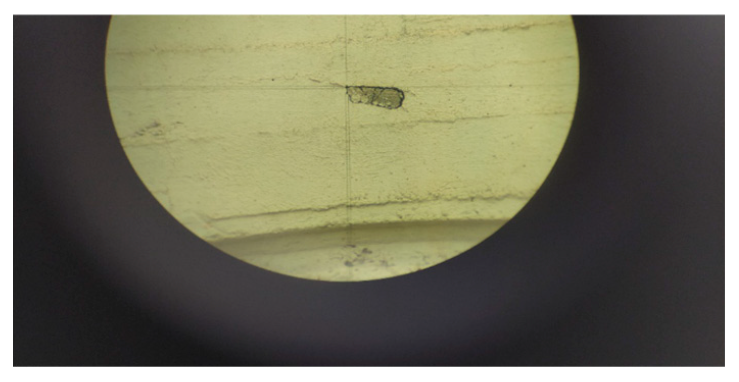 Sensors 24 04925 g011