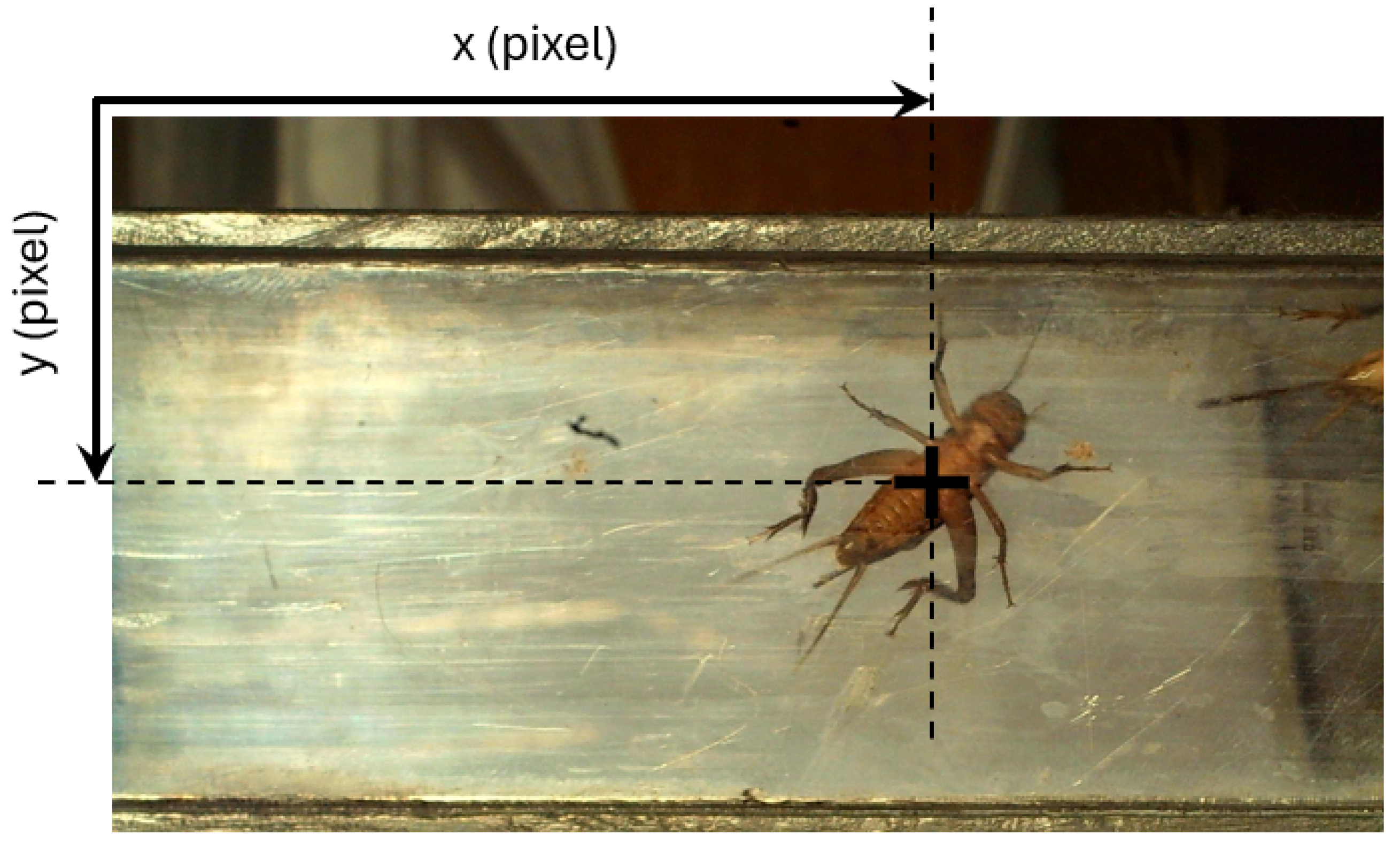 Sensors 24 04936 g002