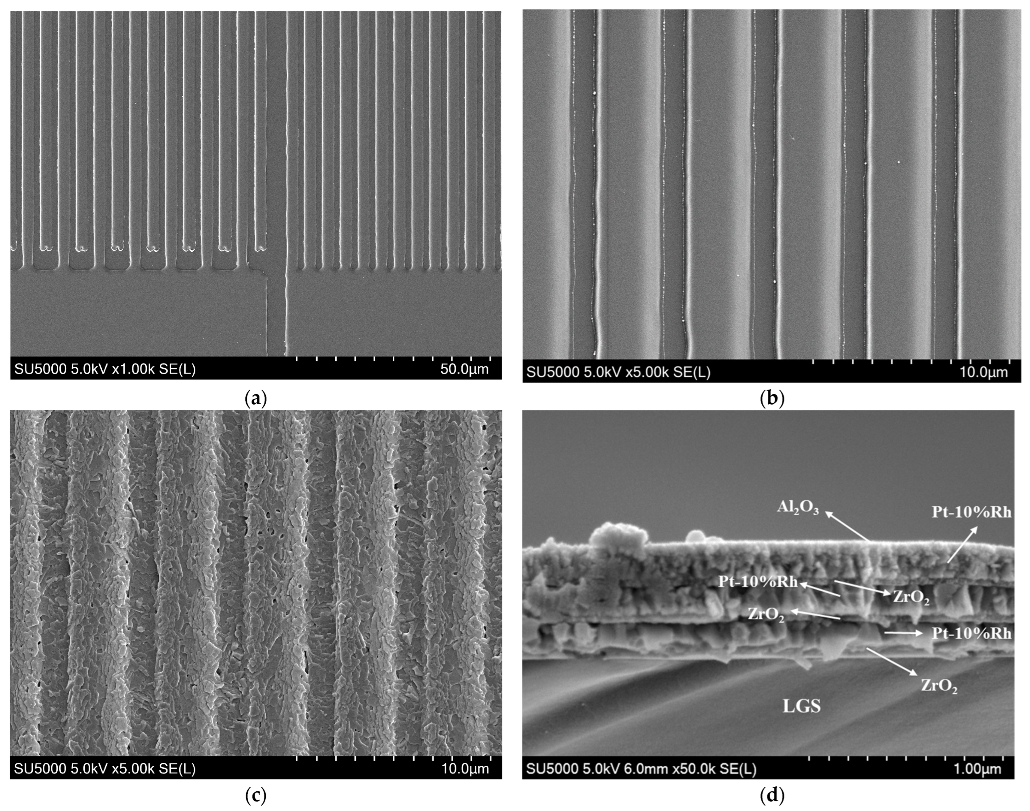 Sensors 24 04945 g012