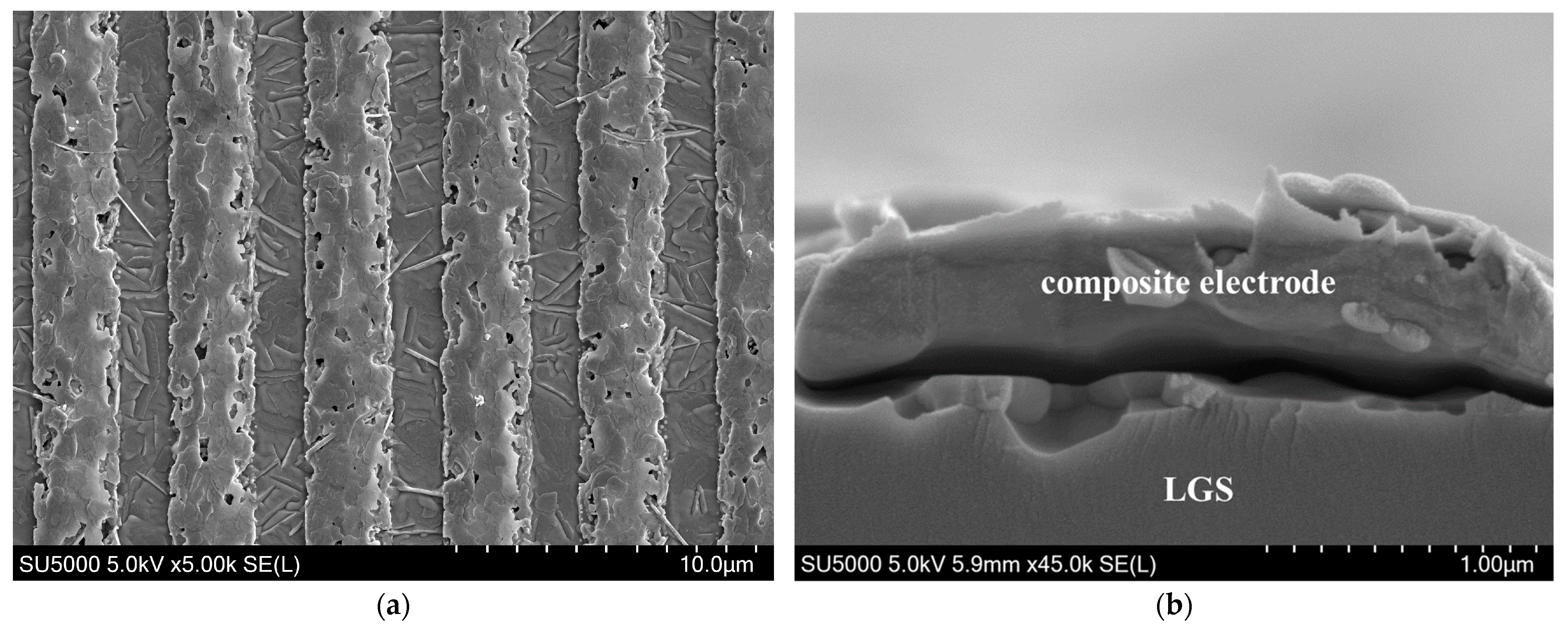 Sensors 24 04945 g014