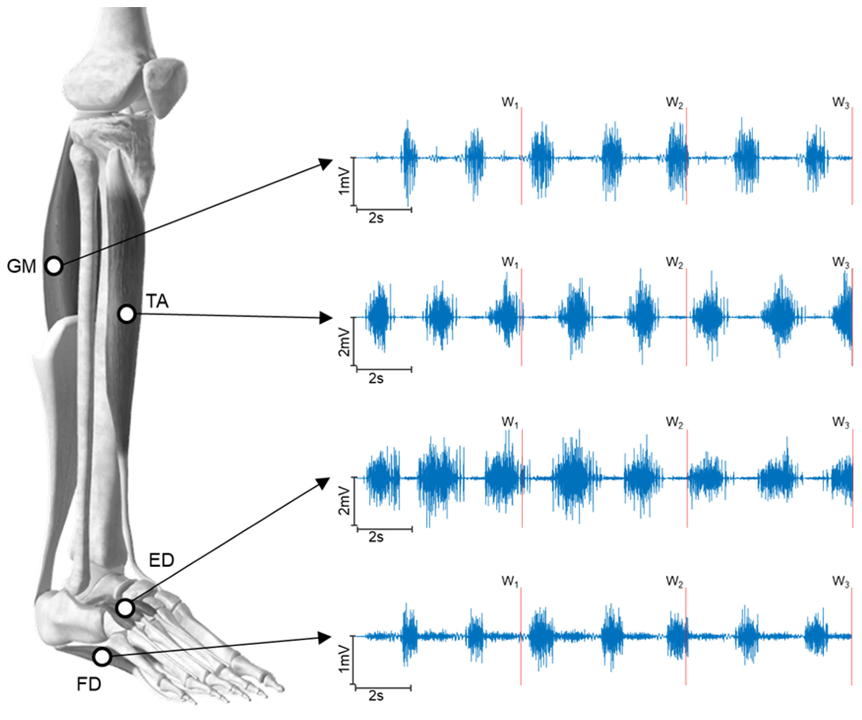 Sensors 24 04954 g001