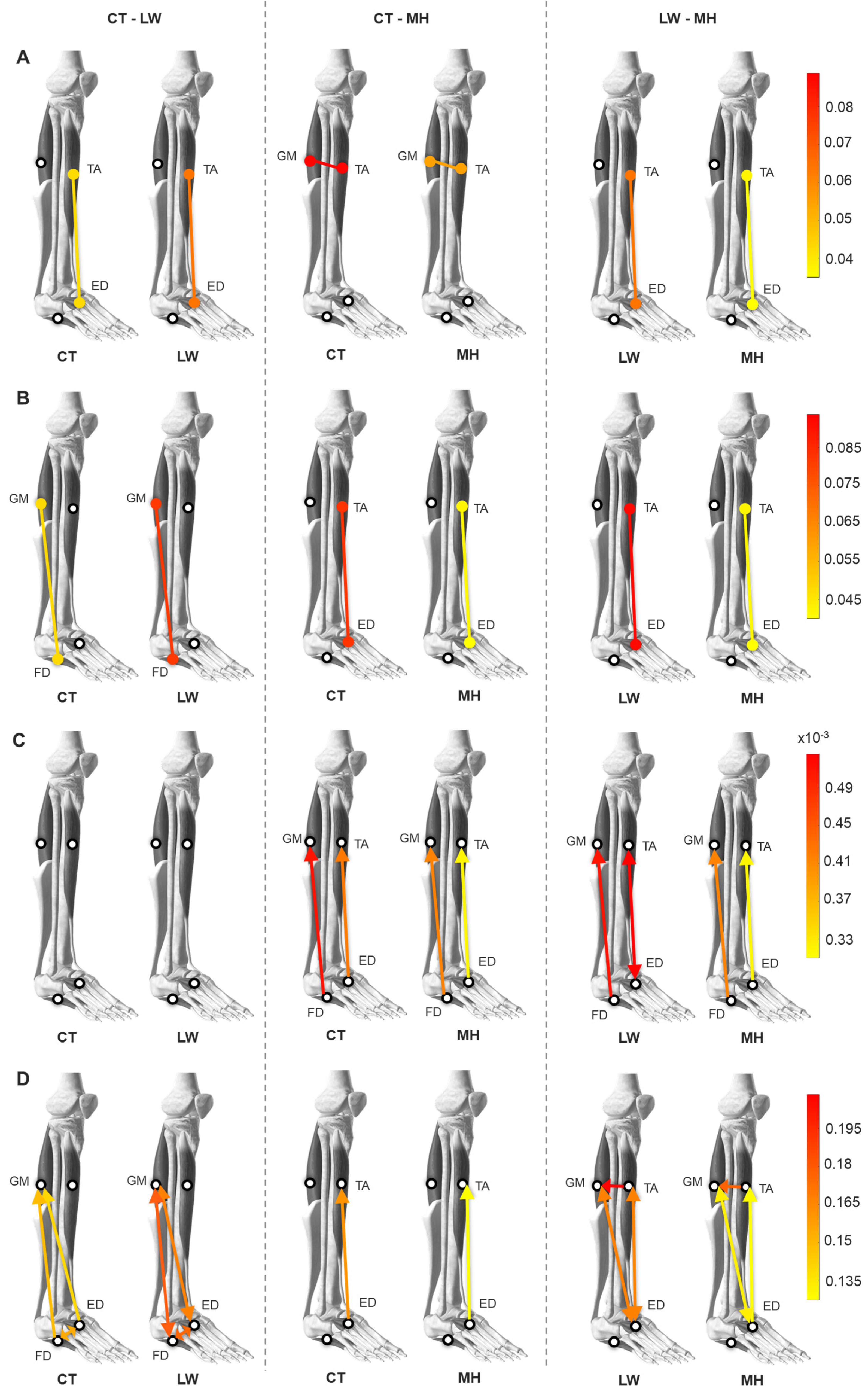 Sensors 24 04954 g007