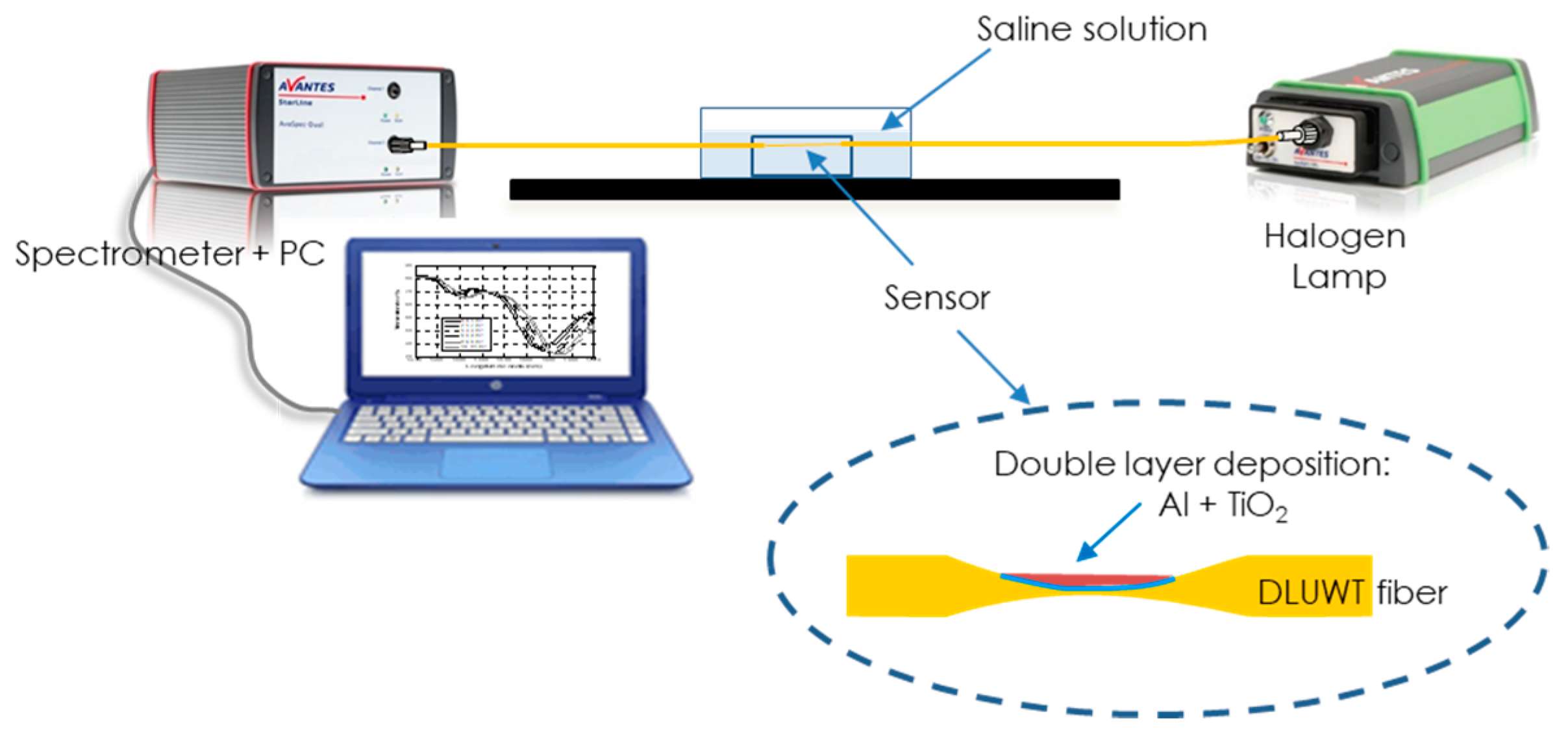 Sensors 24 04957 g006