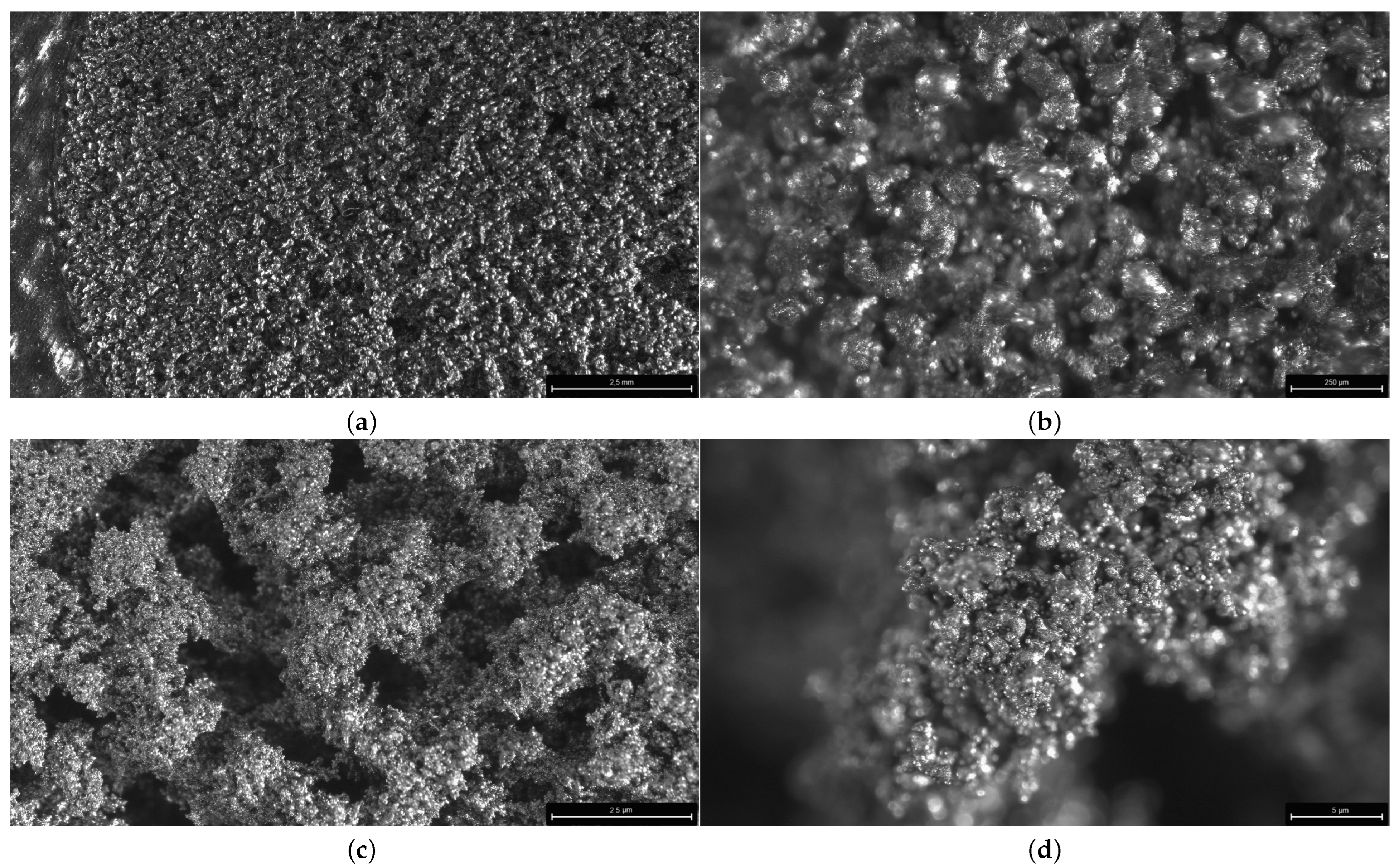 Sensors 24 04959 g006