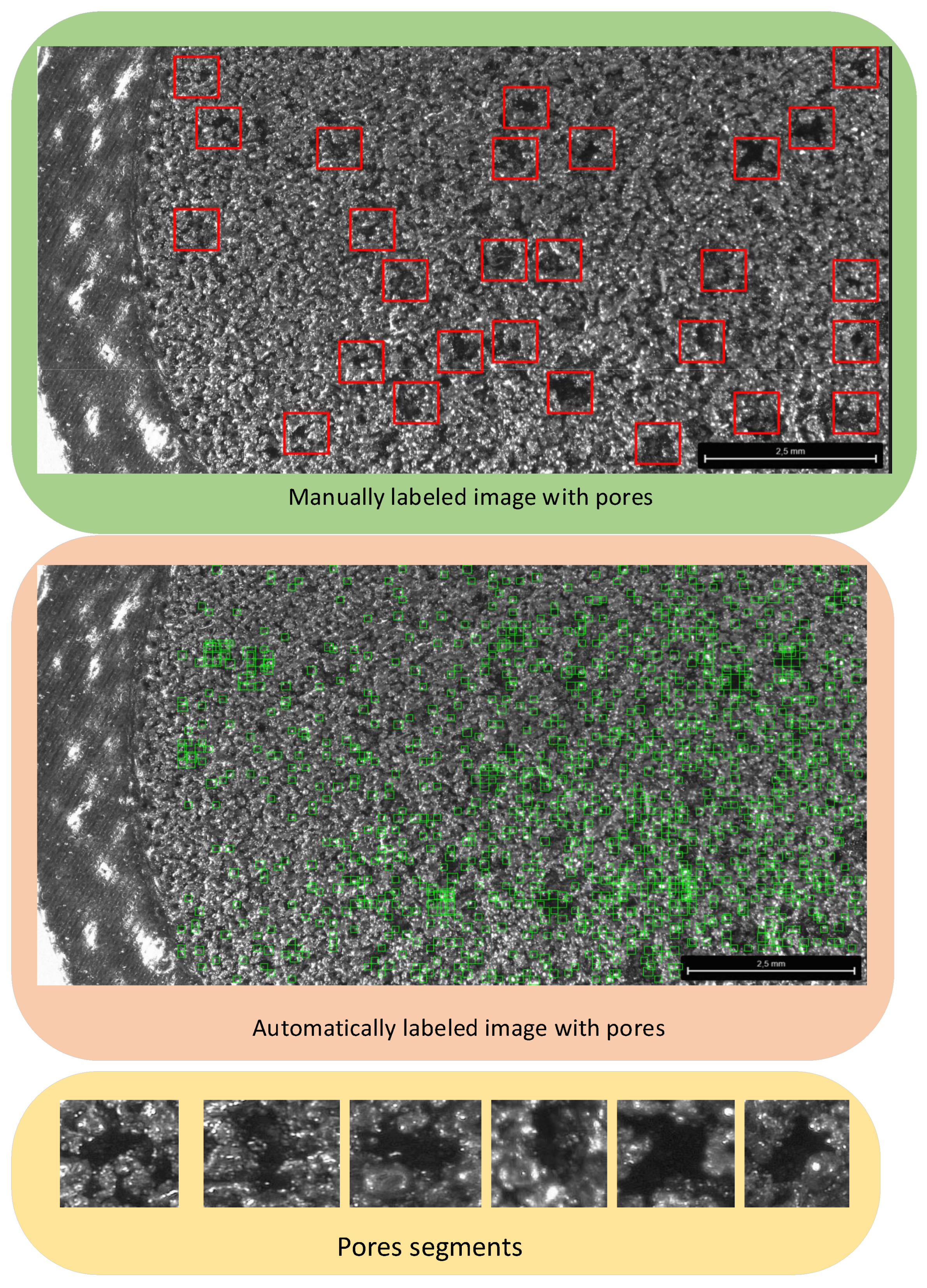 Sensors 24 04959 g007