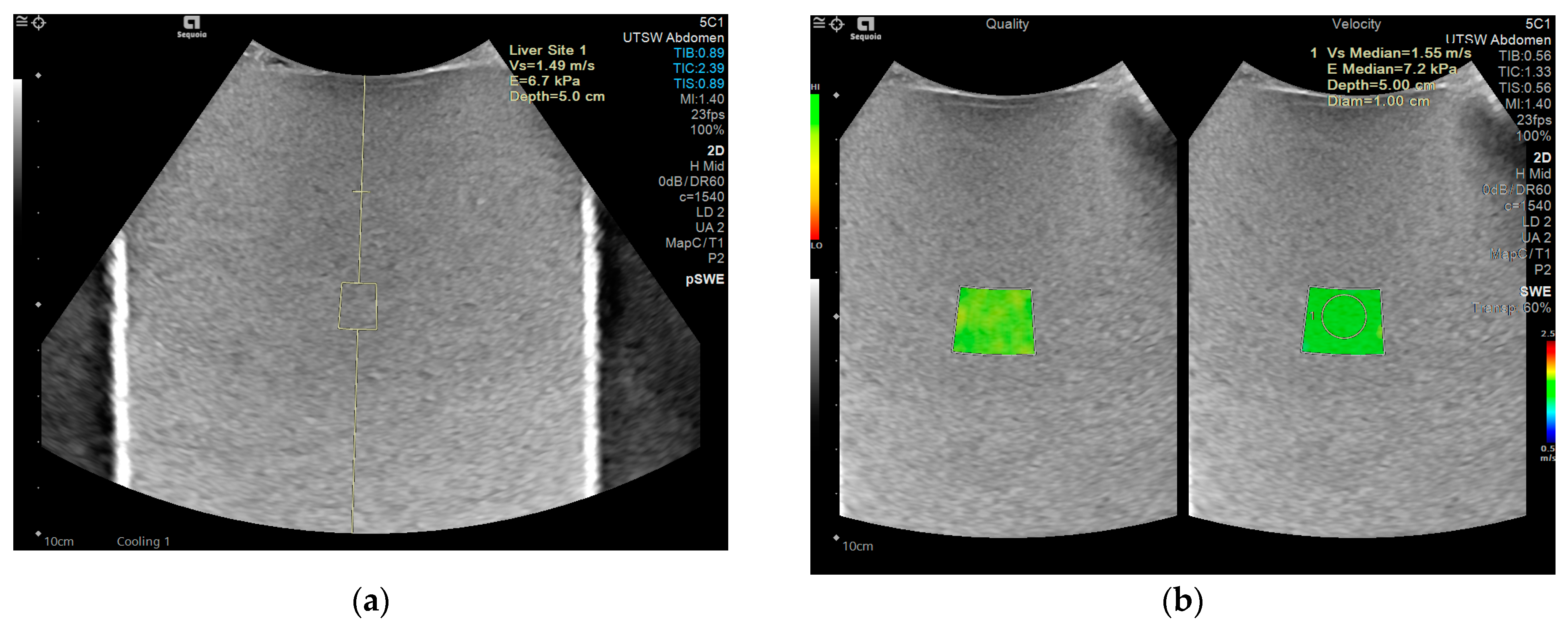 Sensors 24 04961 g001
