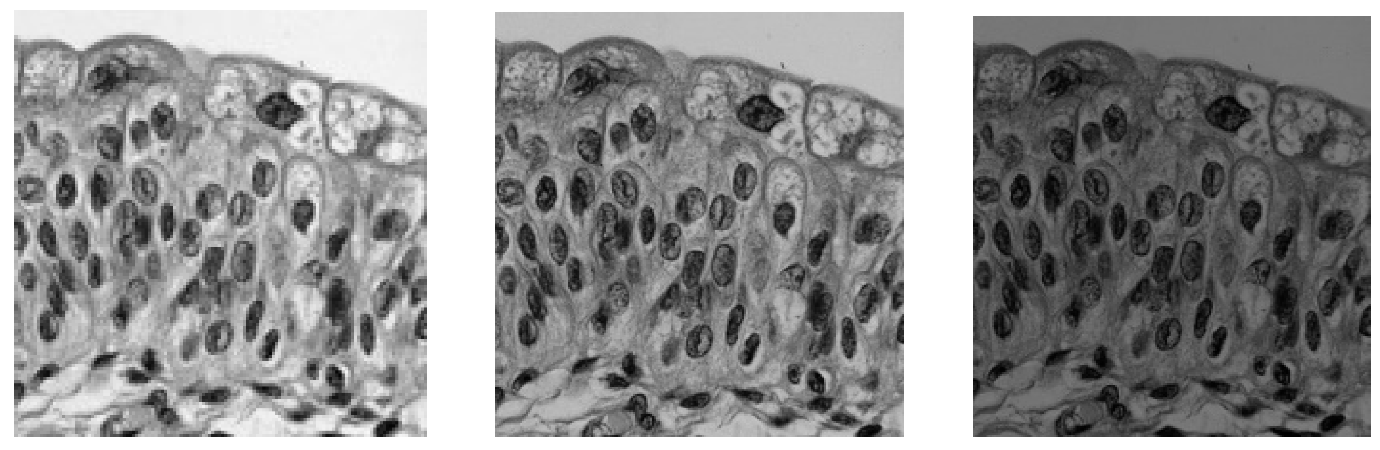 Sensors 24 04969 g001