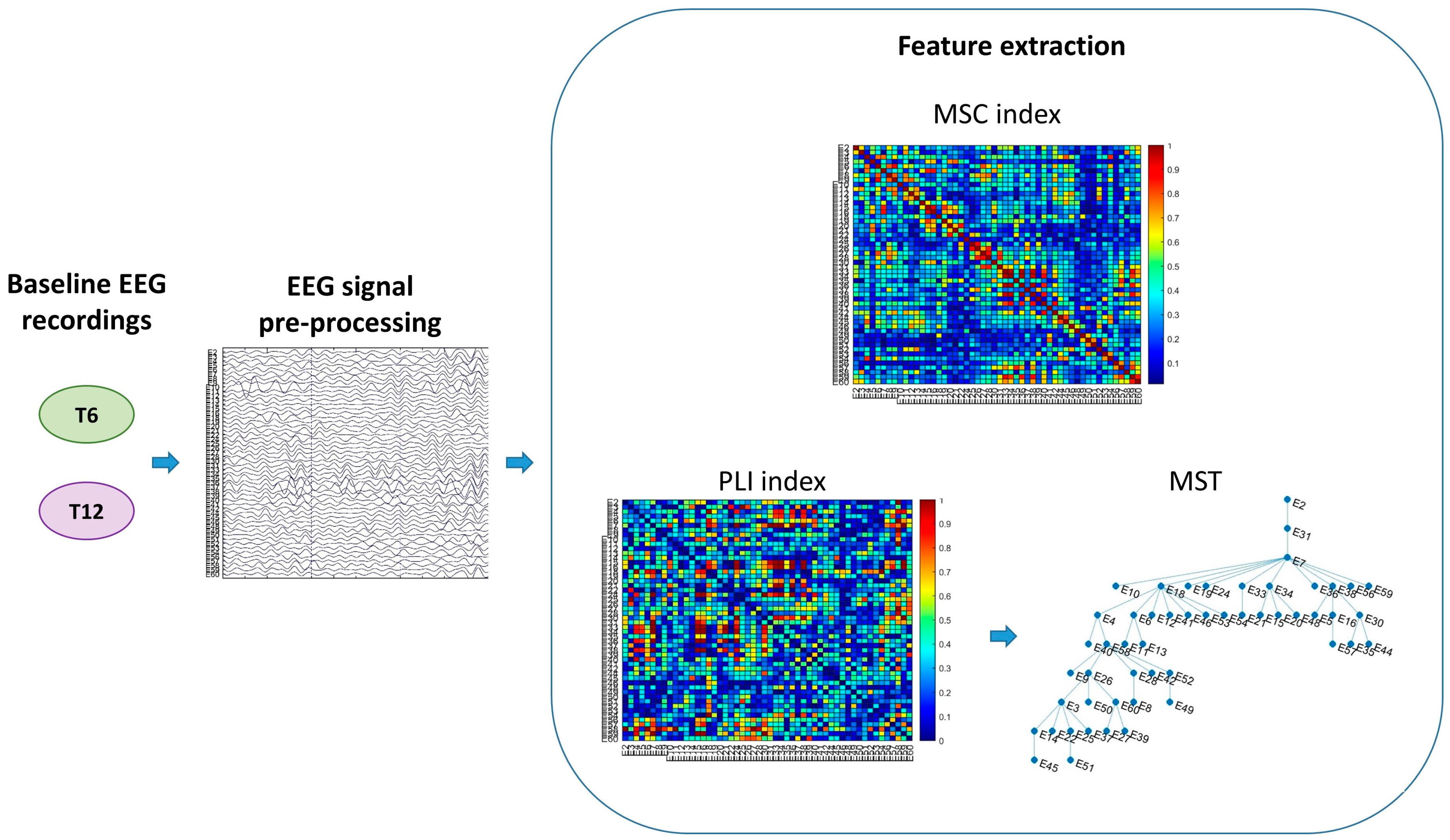 Sensors 24 04979 g004