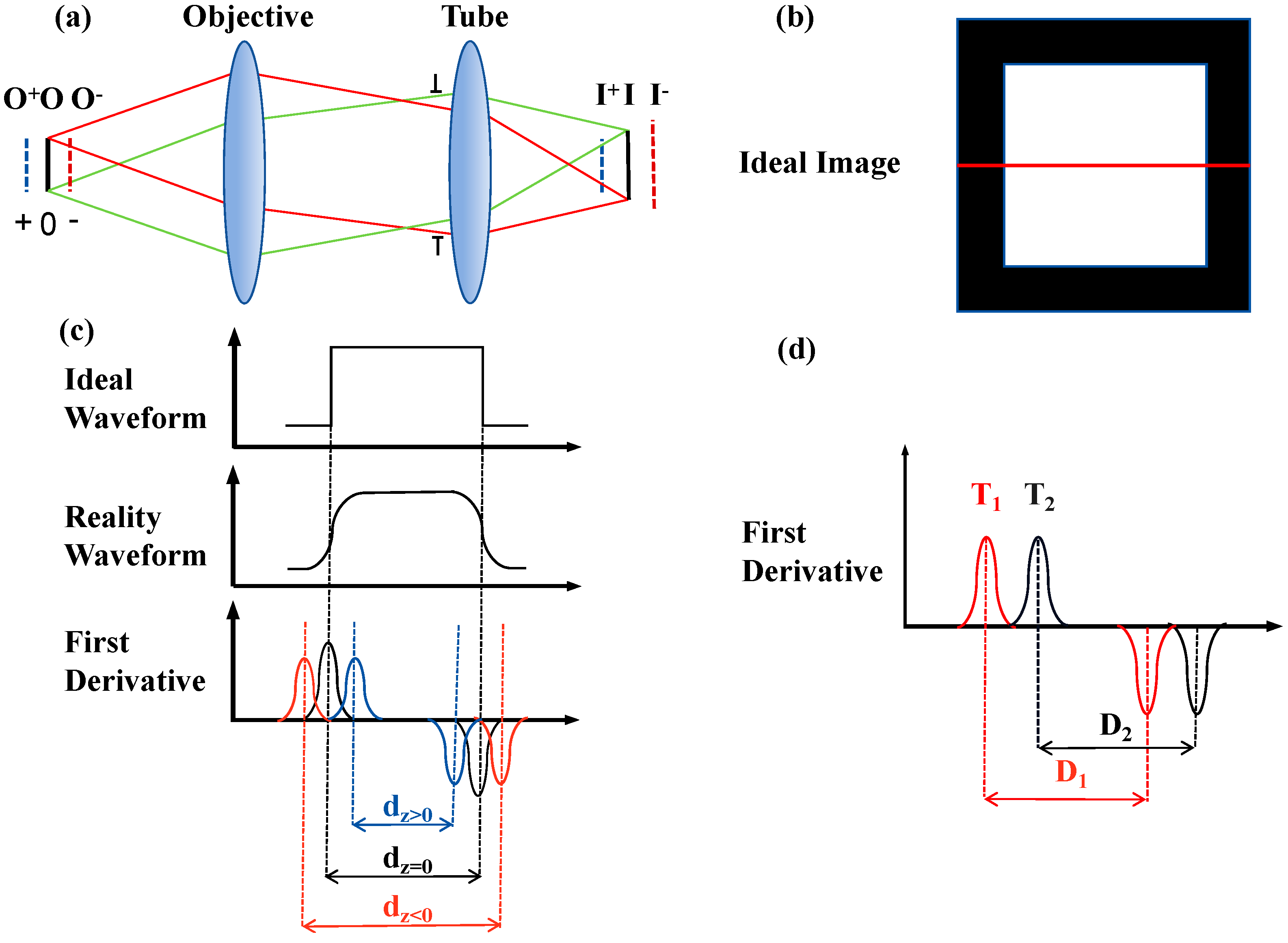 Sensors 24 05010 g002