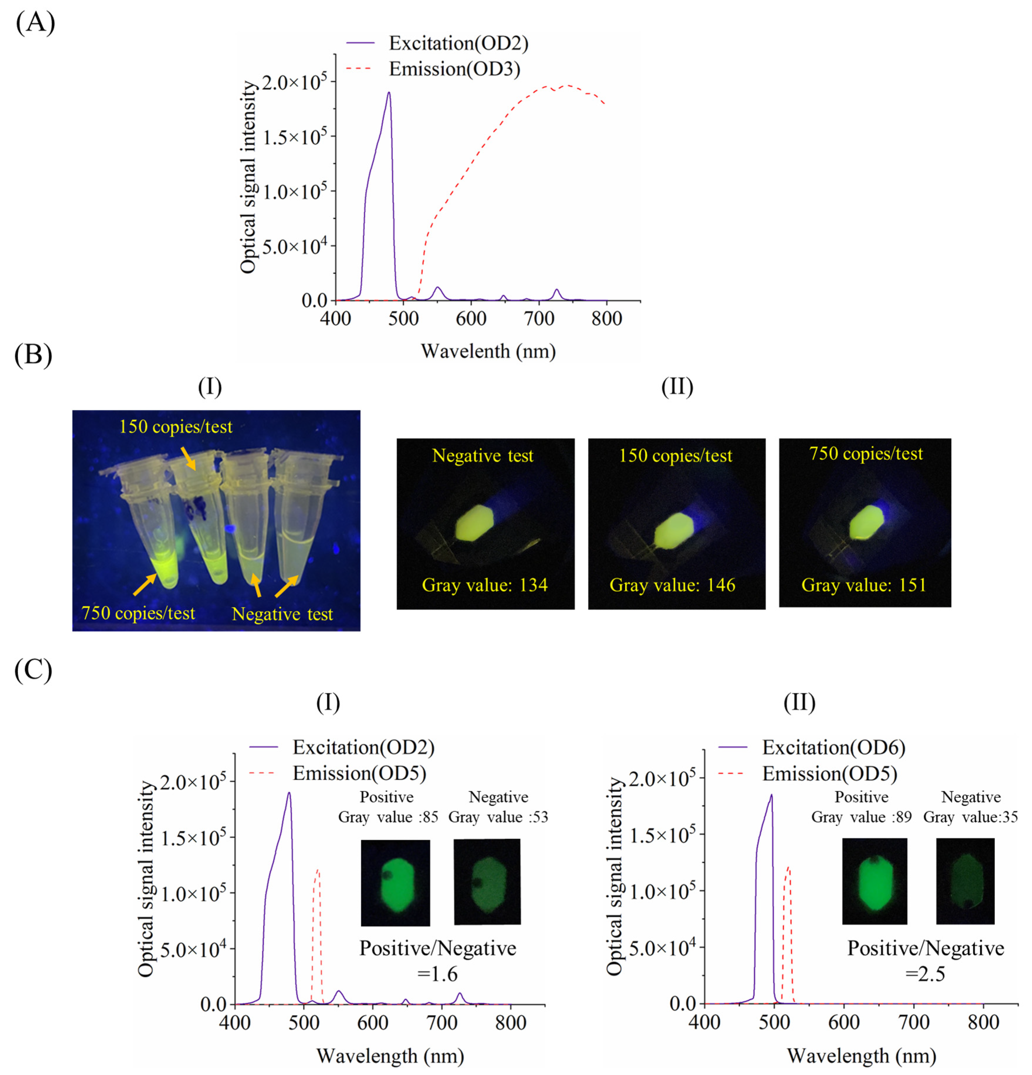 Sensors 24 05028 g006