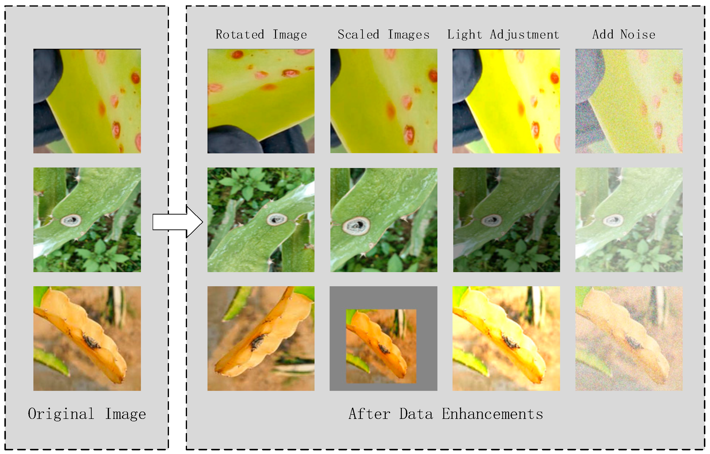 Sensors 24 05034 g008