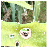 Sensors 24 05034 i002