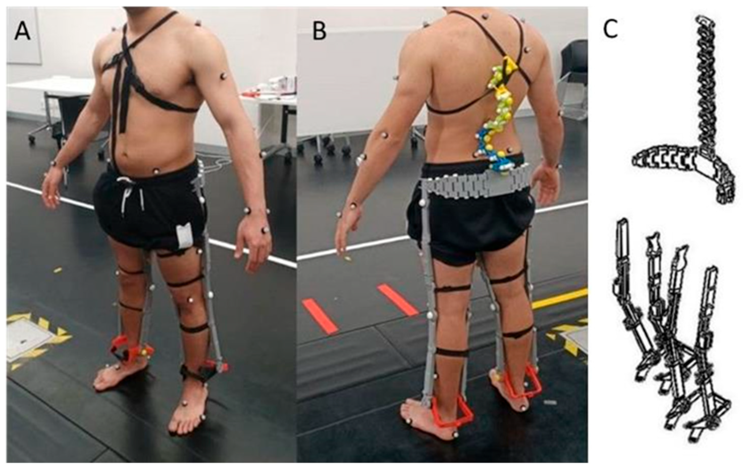 Sensors 24 05067 g001