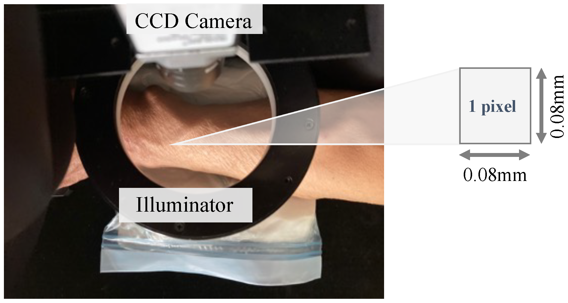 Sensors 24 05068 g002 Sensors 24 05068 g002