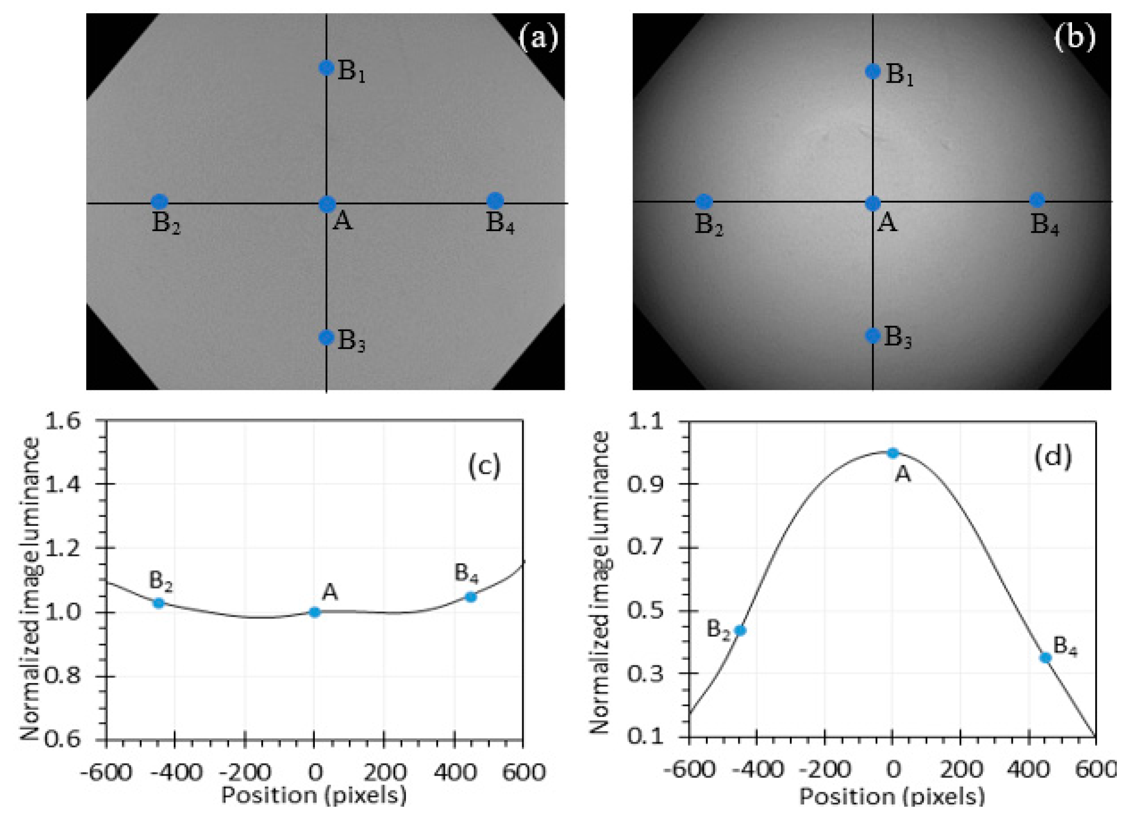 Sensors 24 05075 g006 Sensors 24 05075 g006