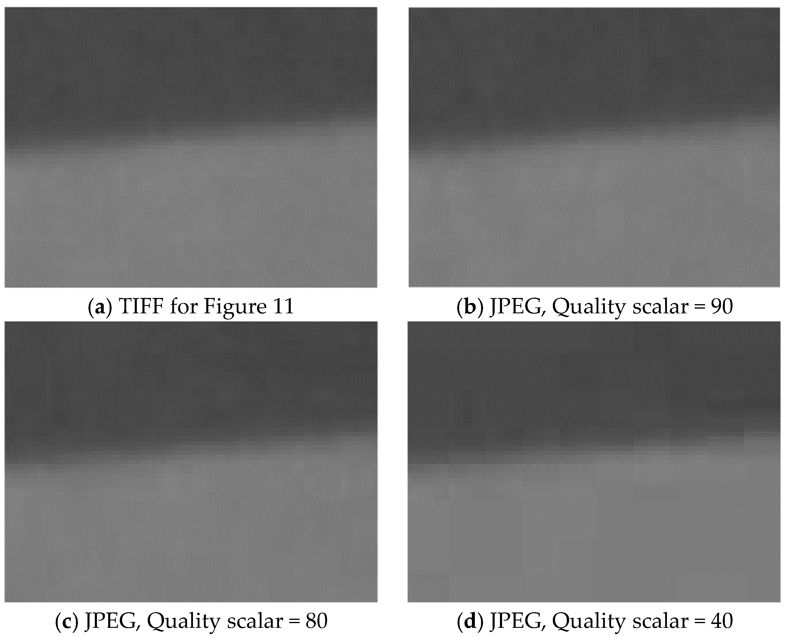 Sensors 24 05075 g012 Sensors 24 05075 g012