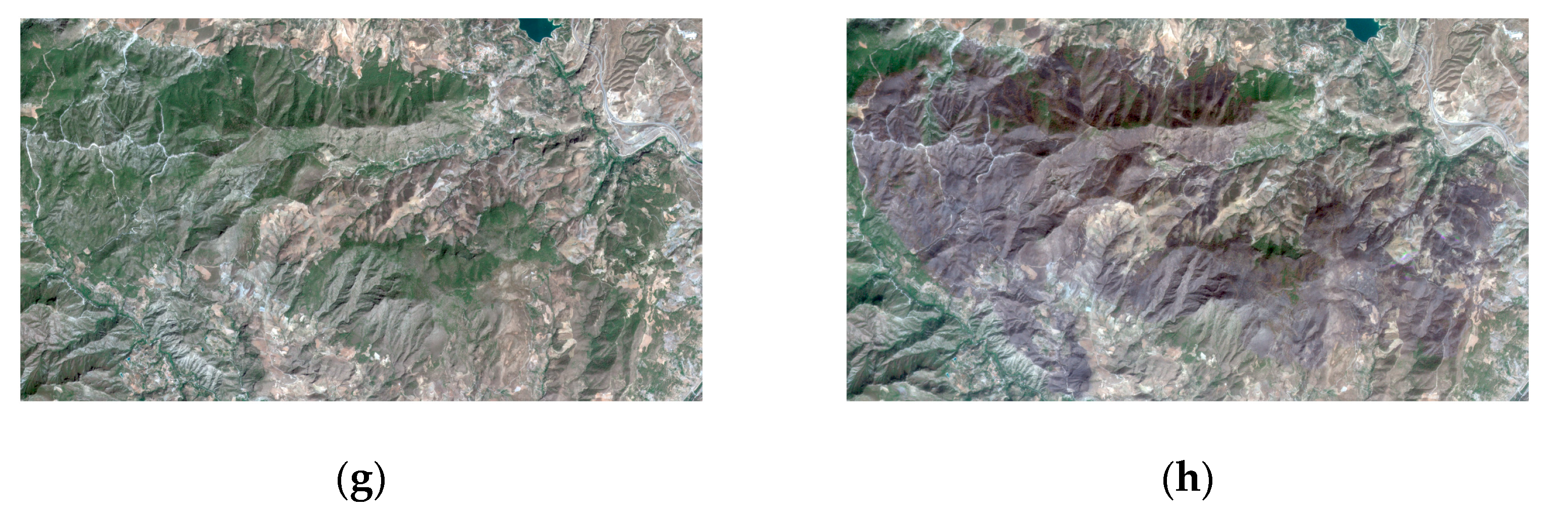 Sensors 24 05084 g001b