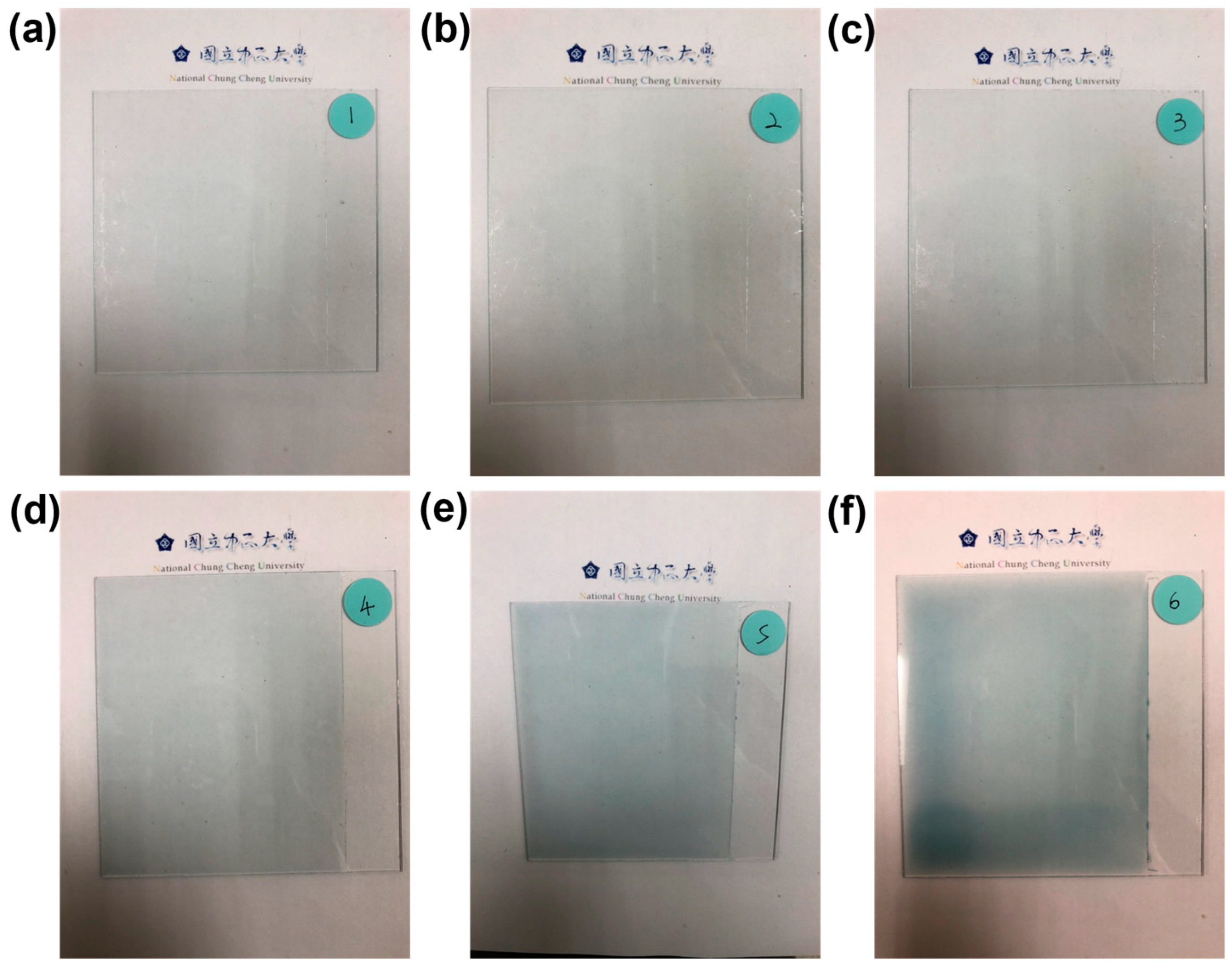 Sensors 24 05094 g001